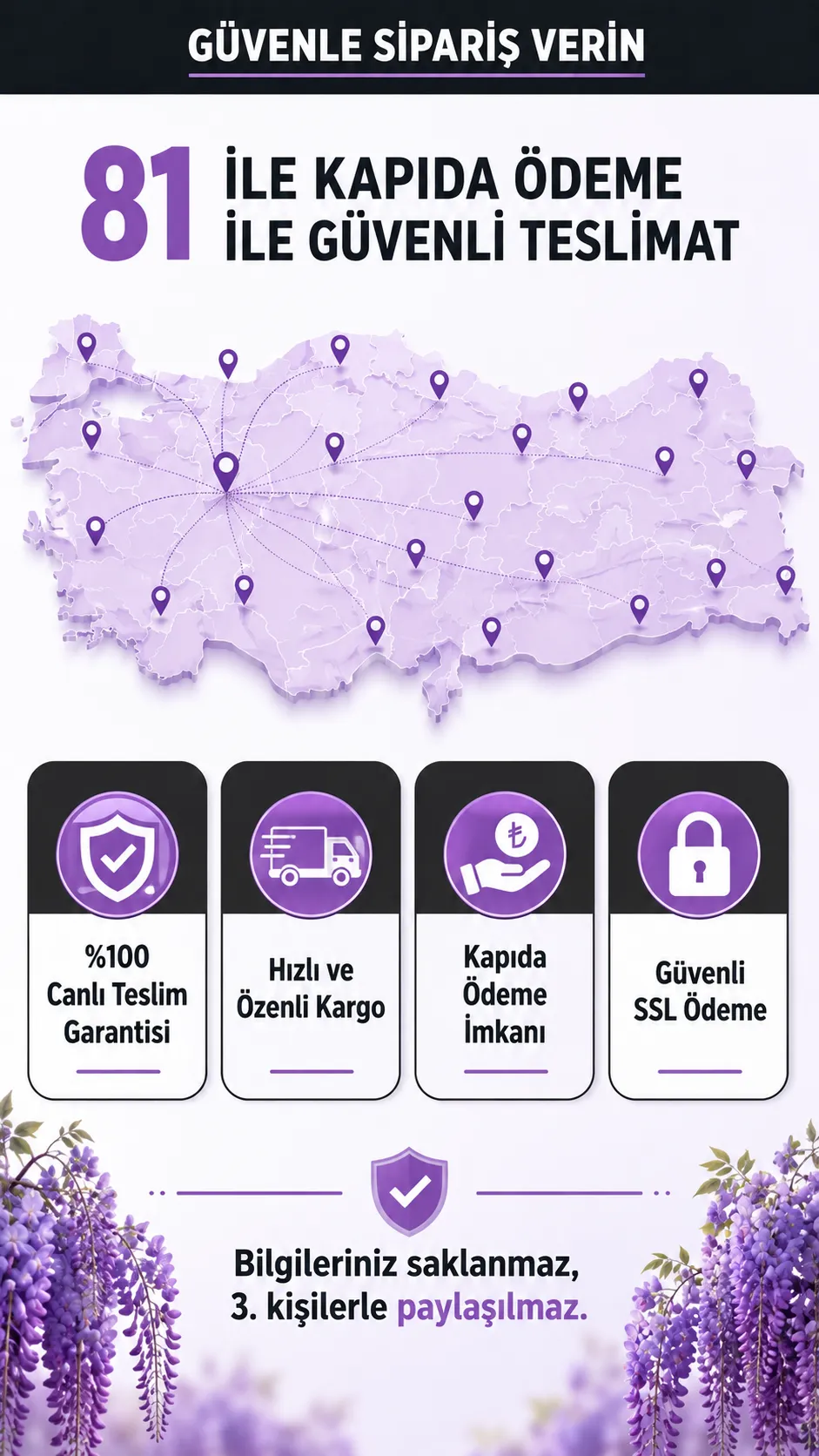 2 Yaş Mor Salkım Fidanı  - Görsel 7