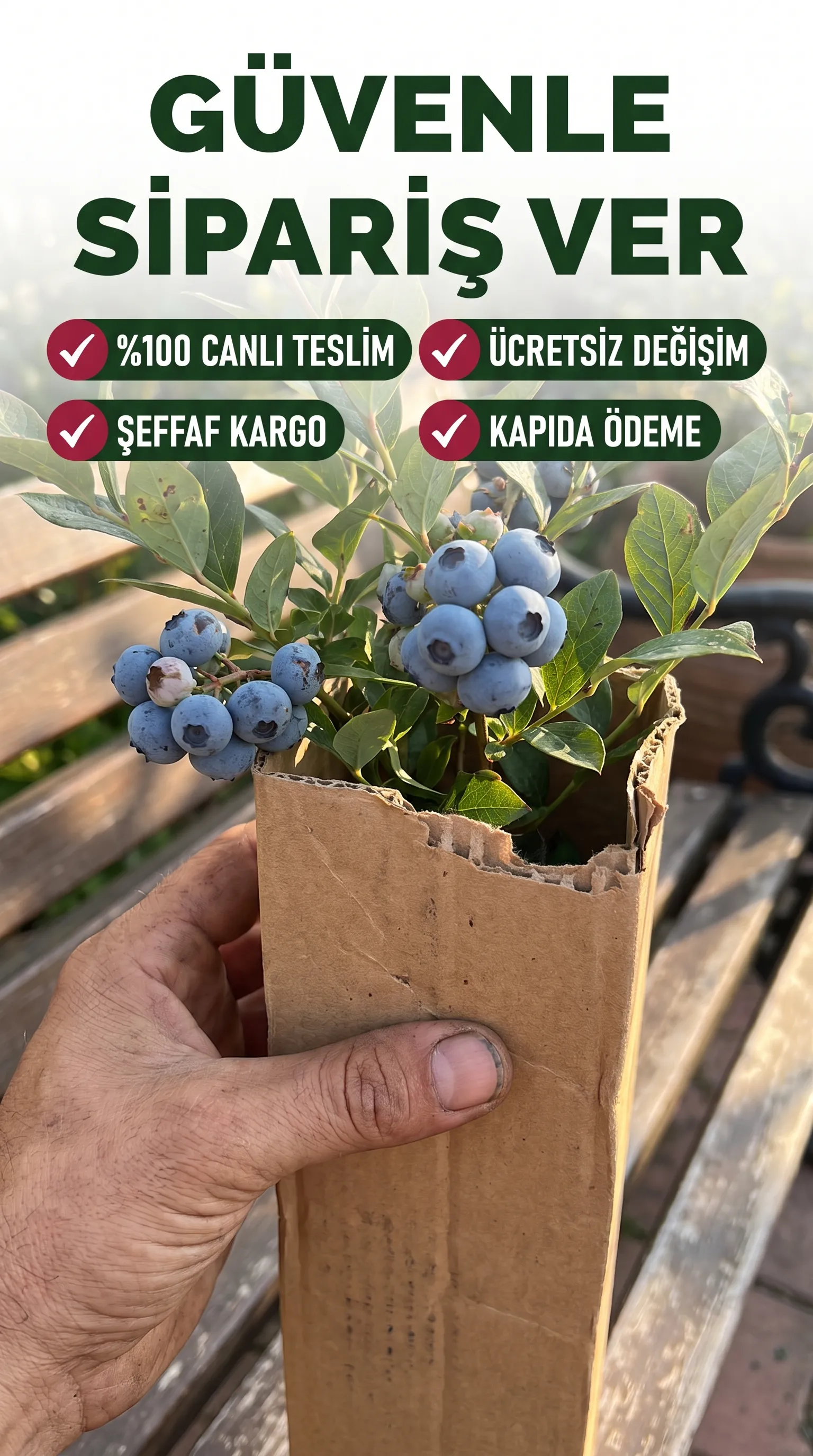 Yaban Mersini Sevenler Seti - Görsel 5