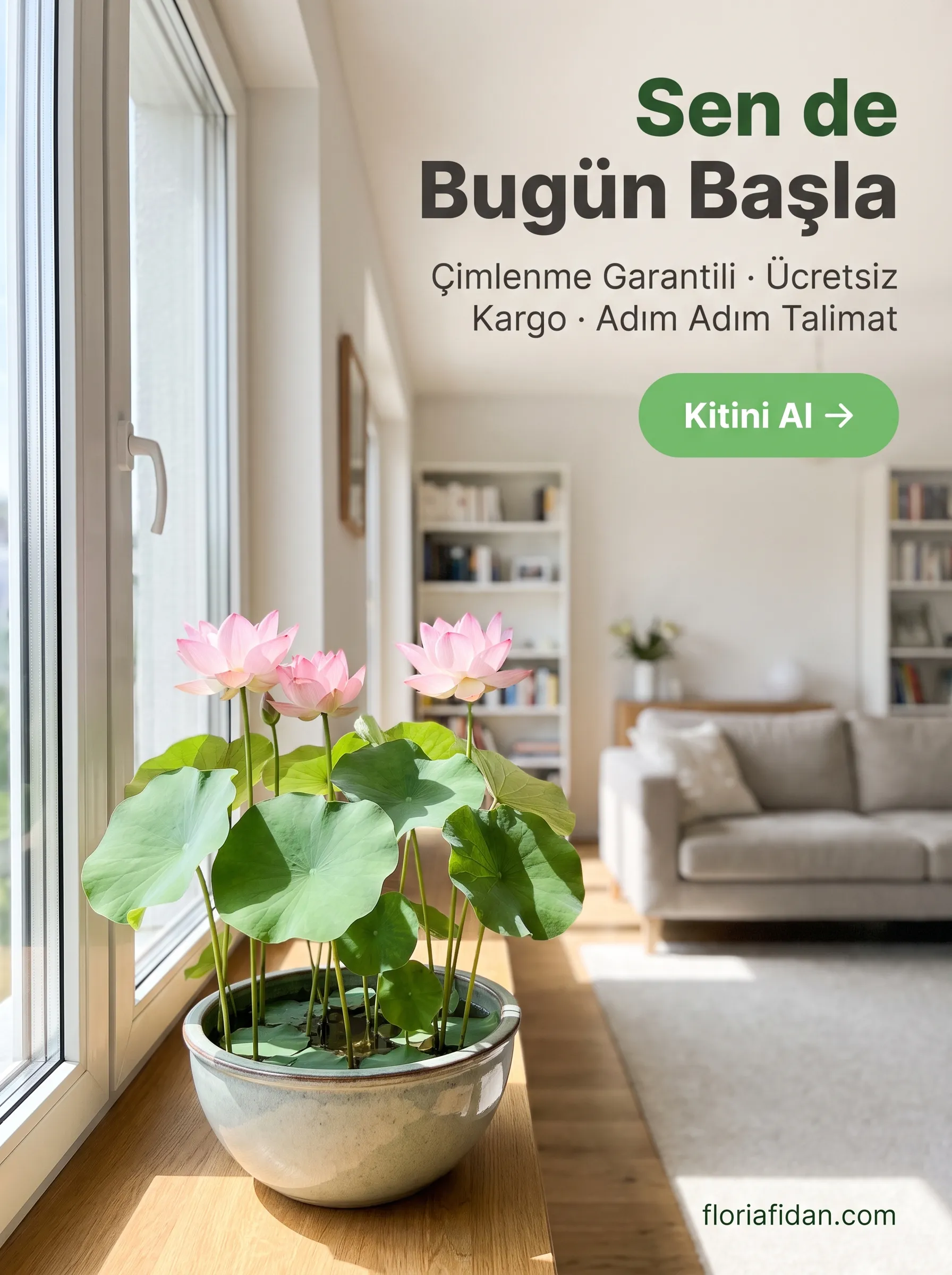 Lotus Çiçeği Yetiştirme Kiti - Görsel 2