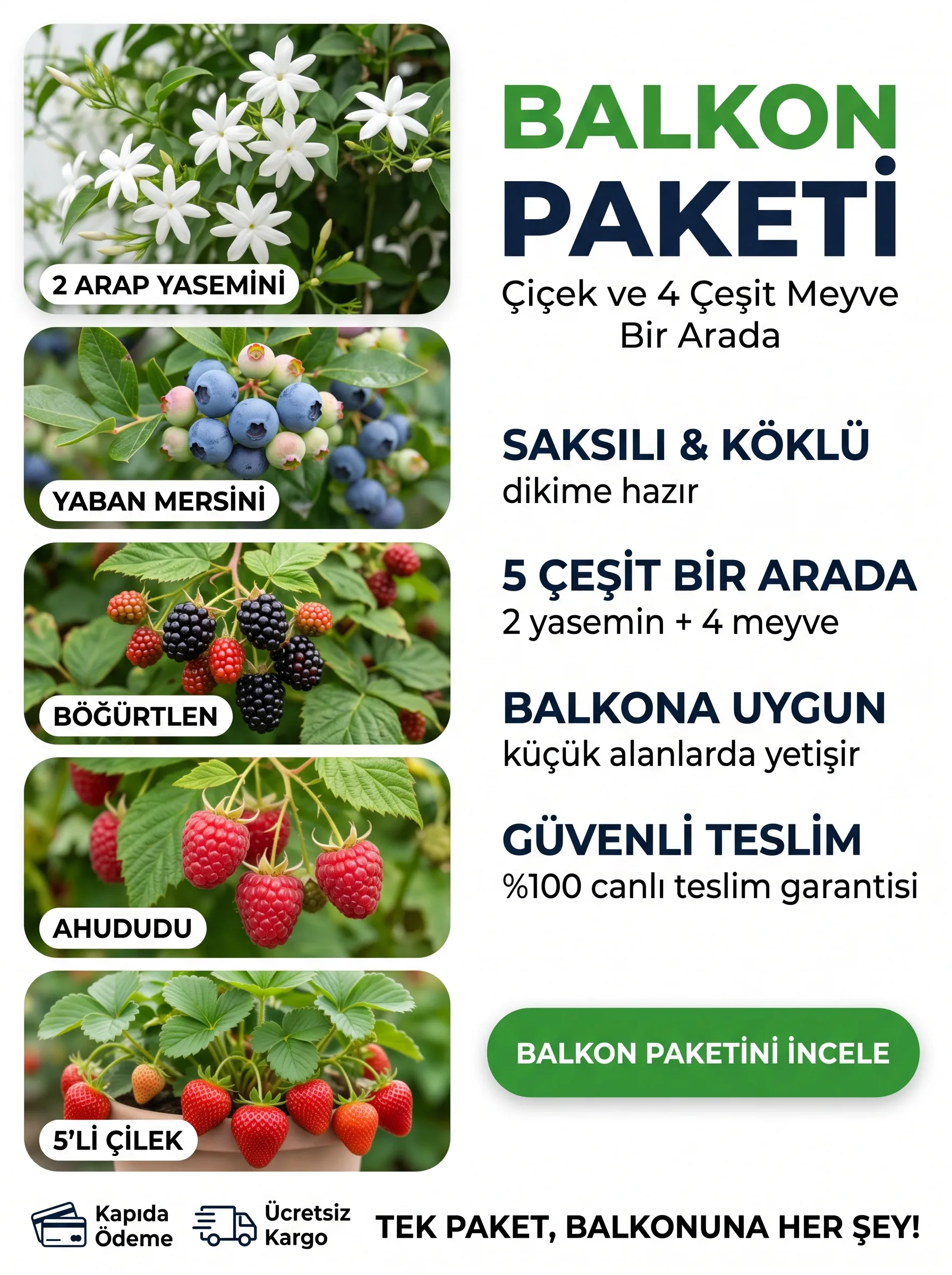 Balkon Paketi - Görsel 2