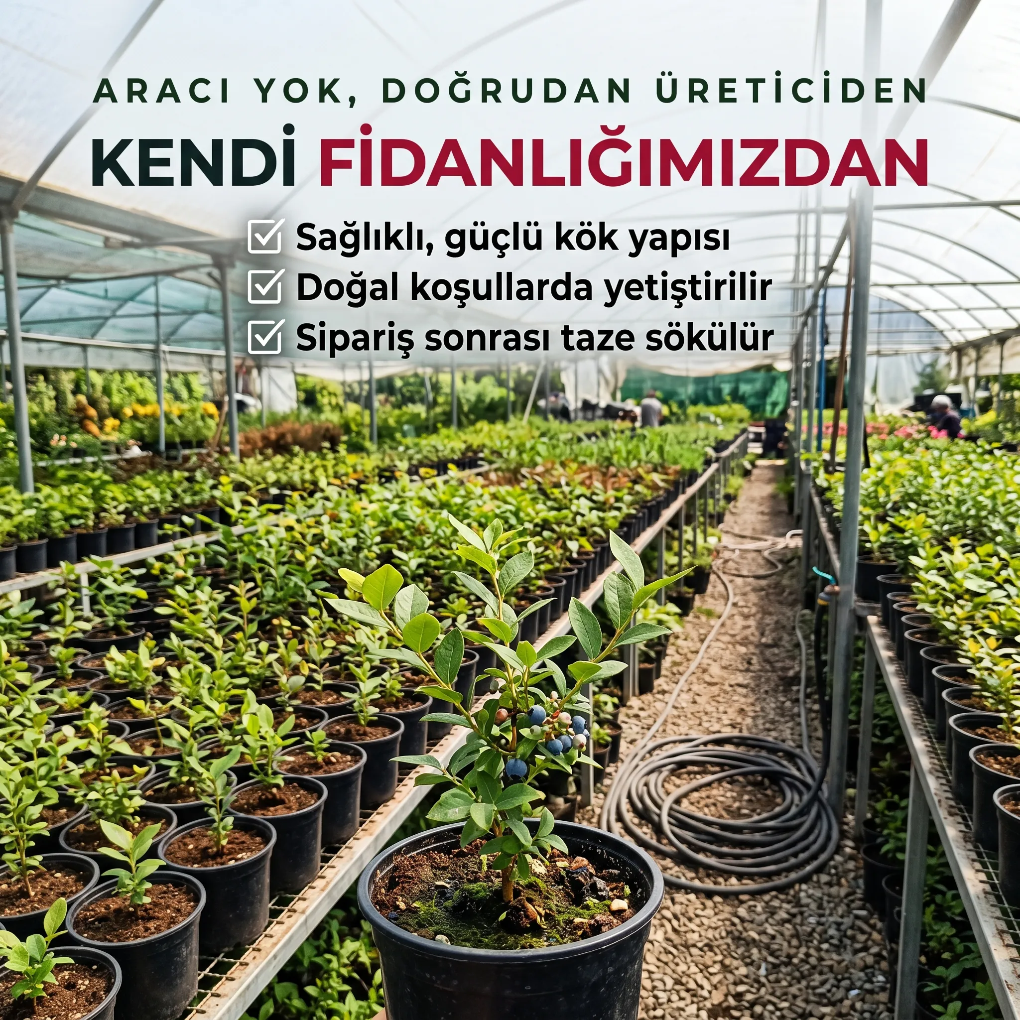 5'Lİ ORMAN MEYVE PAKETİ  - Görsel 4