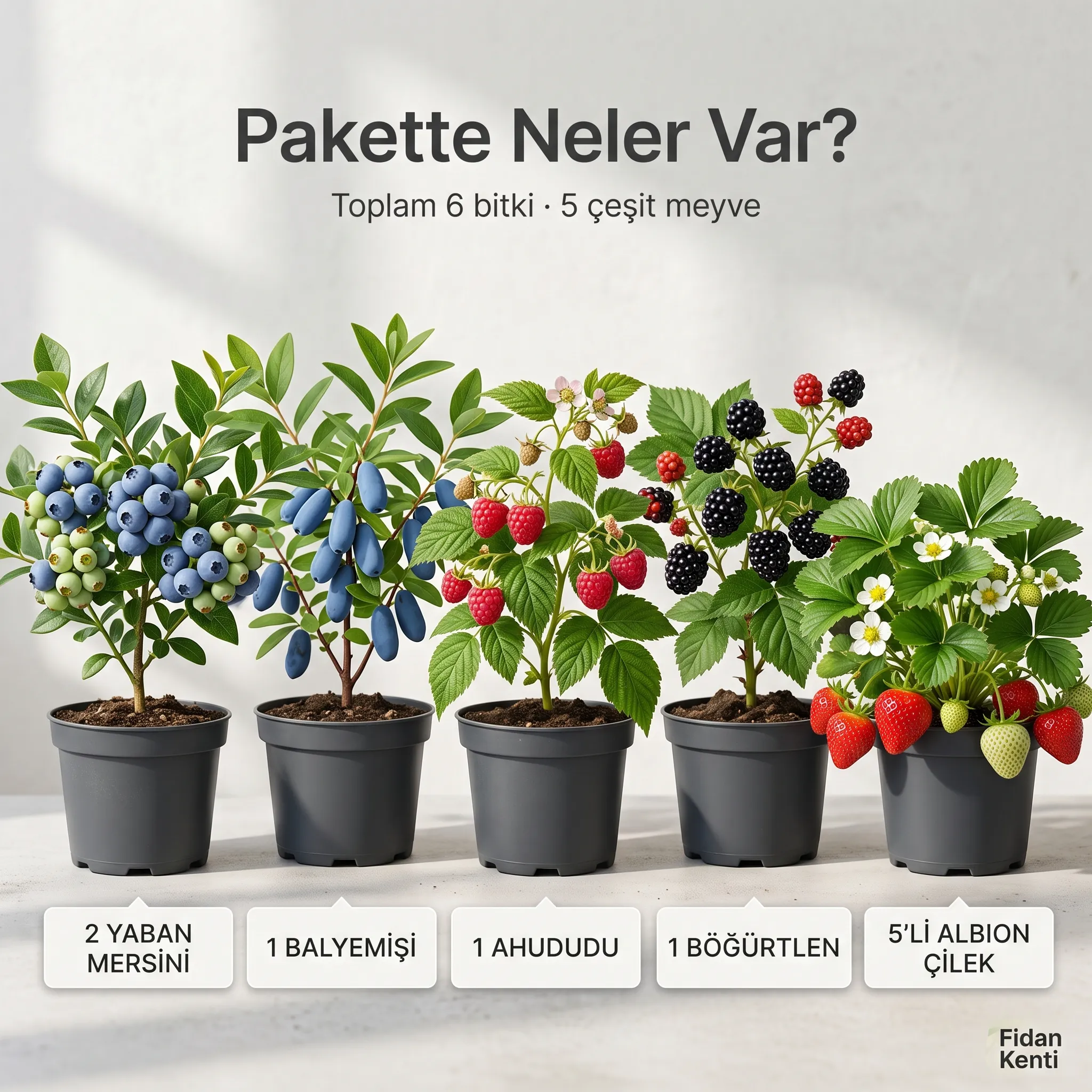 5li Meyveli Balkon Paketi  - Görsel 2