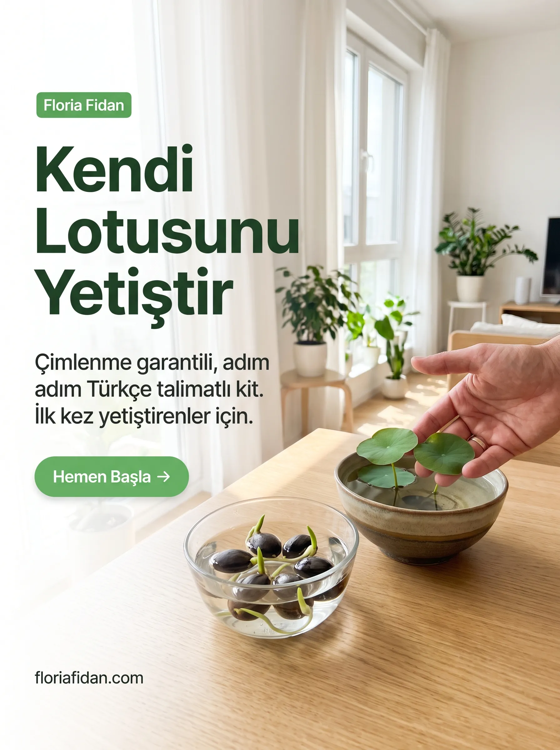 Lotus Çiçeği Yetiştirme Kiti - Görsel 1