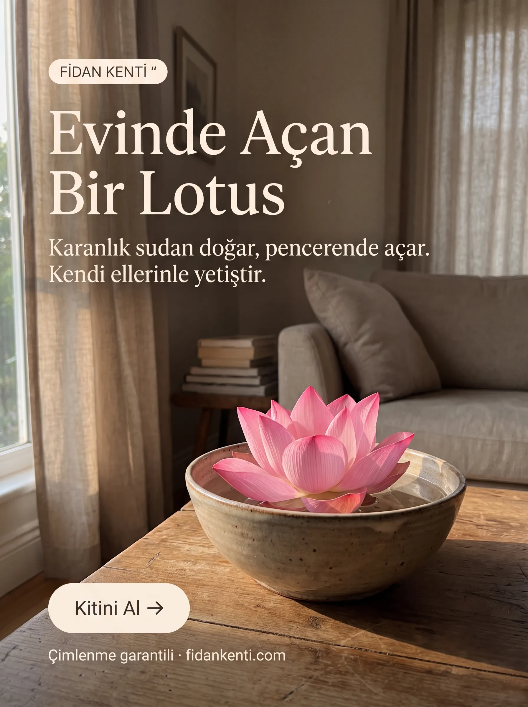 LOTUS ÇİÇEĞİ TOHUMU SETİ  - Görsel 1