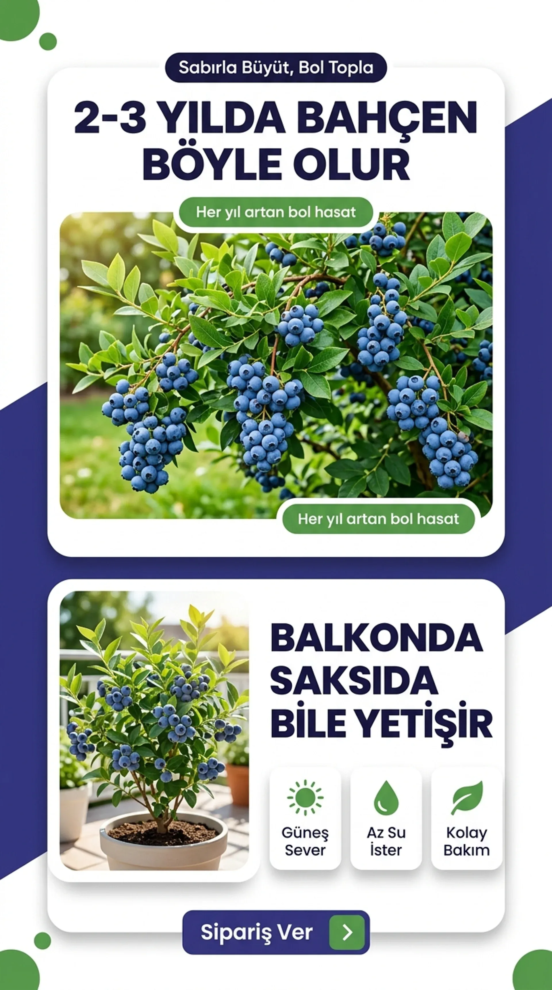 YABAN MERSİNİ KAMPANYASI  - Görsel 3
