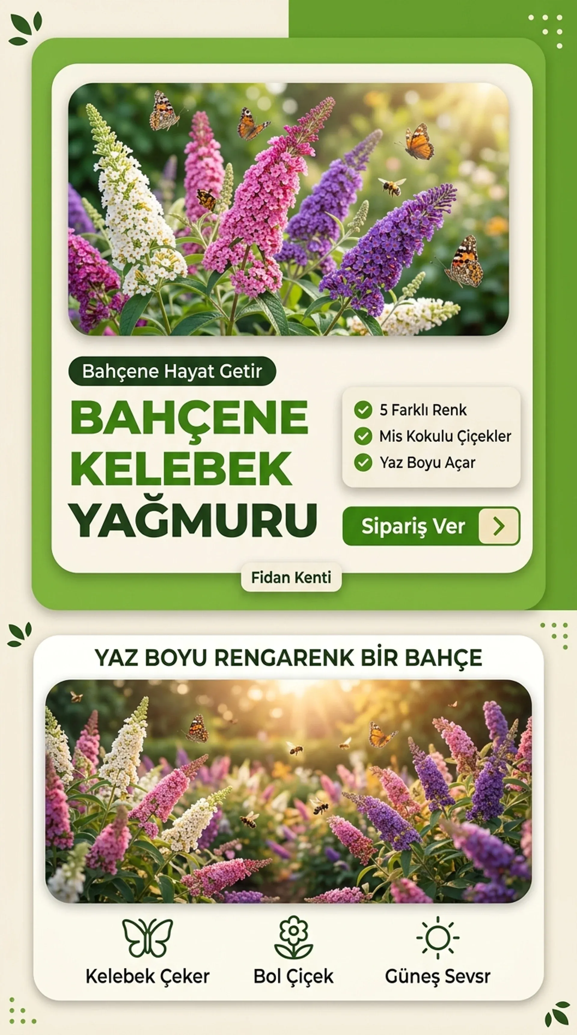 Kelebek Çalısı Seti - Görsel 4