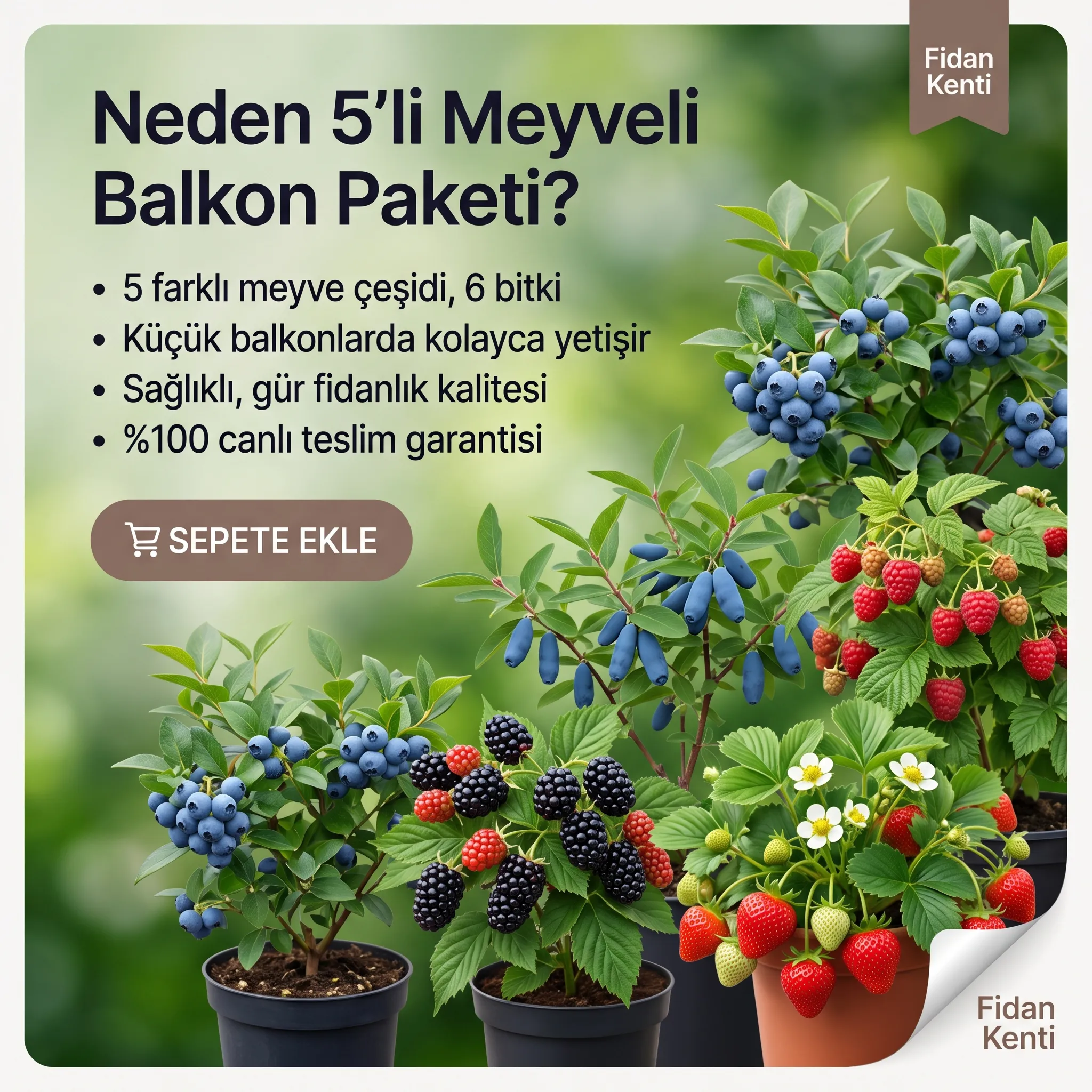 5li Meyveli Balkon Paketi  - Görsel 6