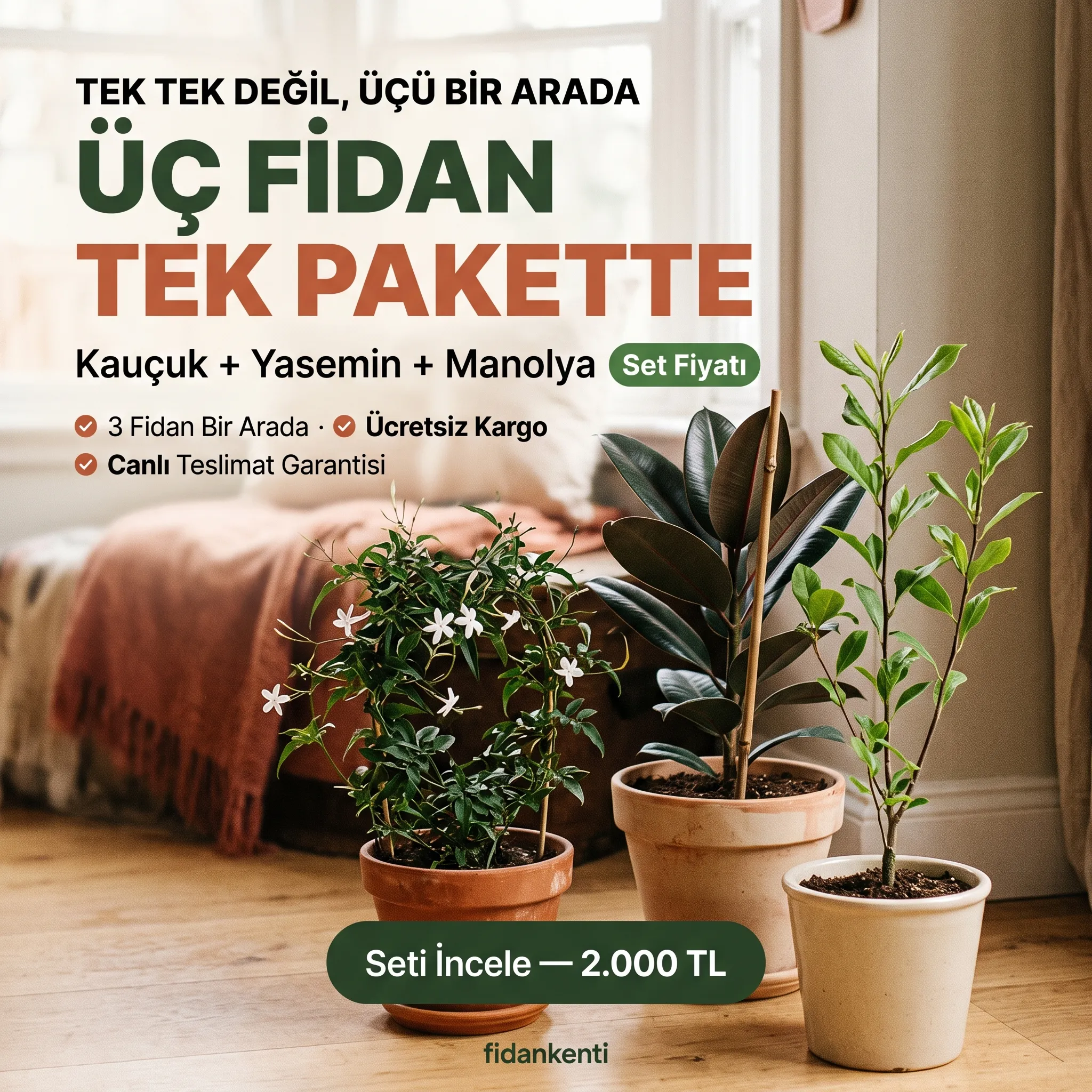Ev Zarafeti Seti  - Görsel 3