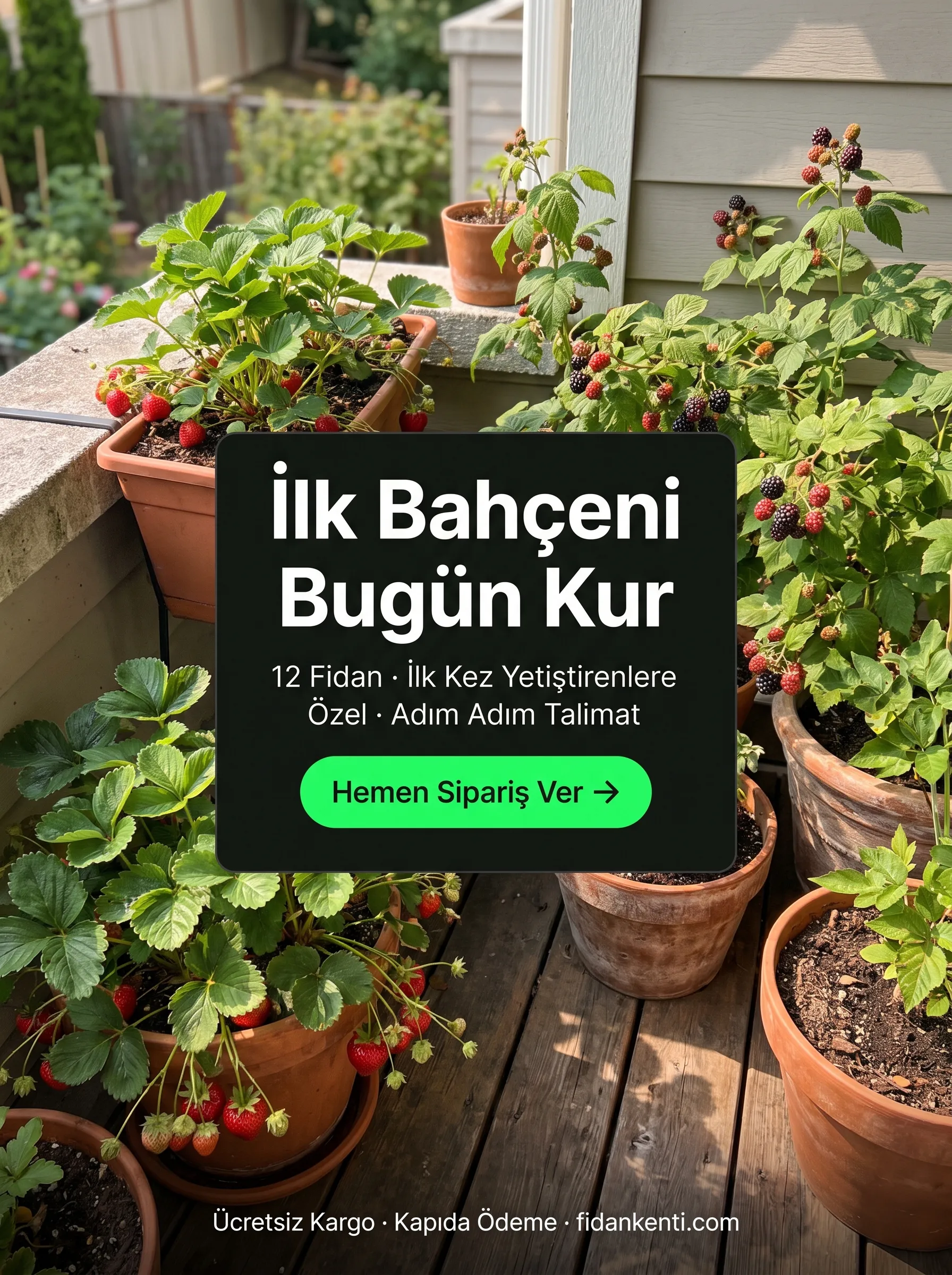 EV MEYVE SETİ  - Görsel 6
