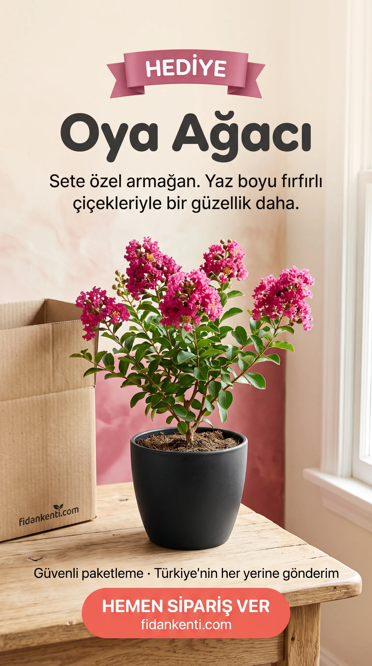 5'li Çiçek Seti + Oya Hediye - Görsel 5