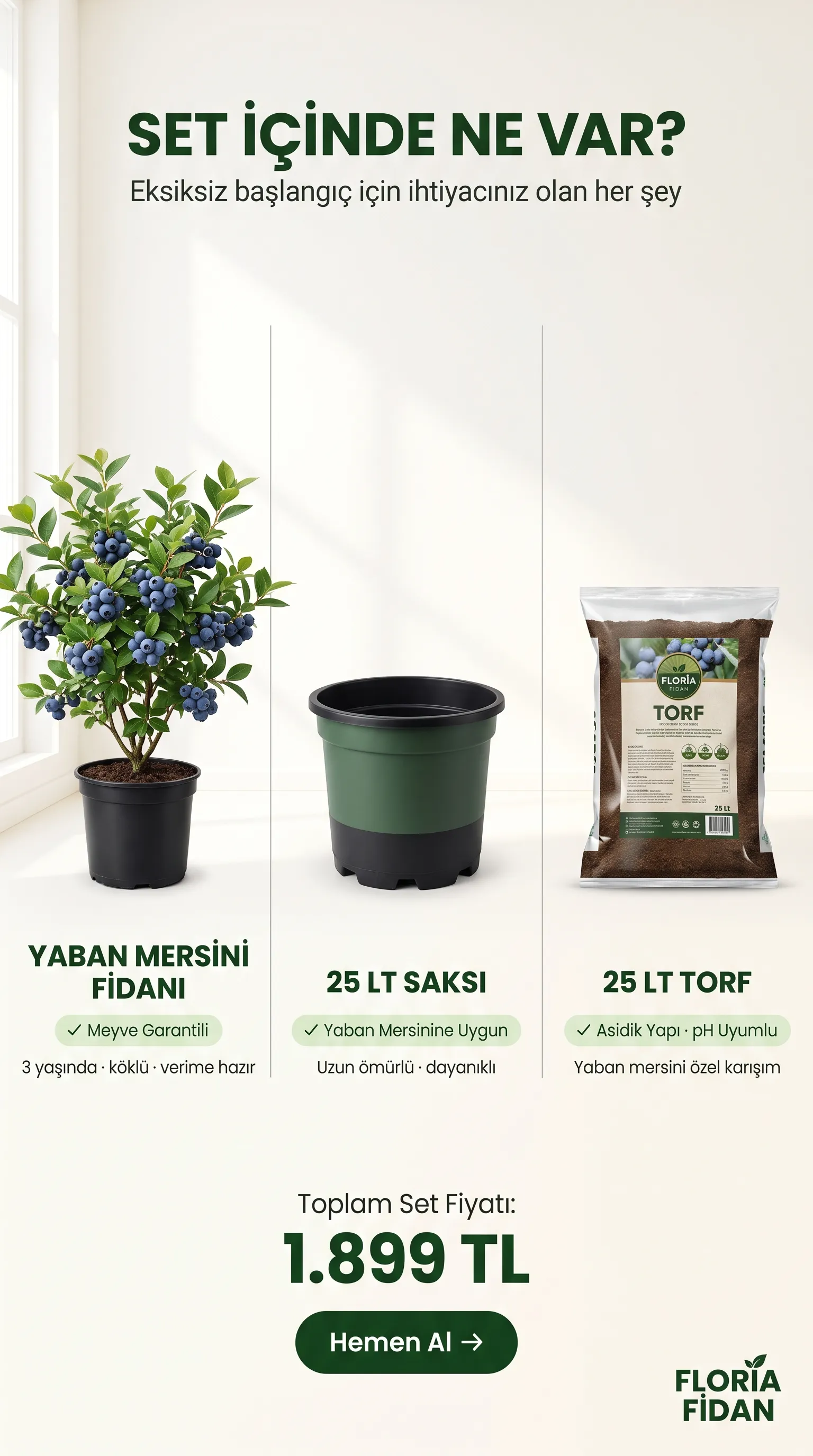 YABAN MERSİNİ YETİŞTİRME SETİ  - Görsel 2