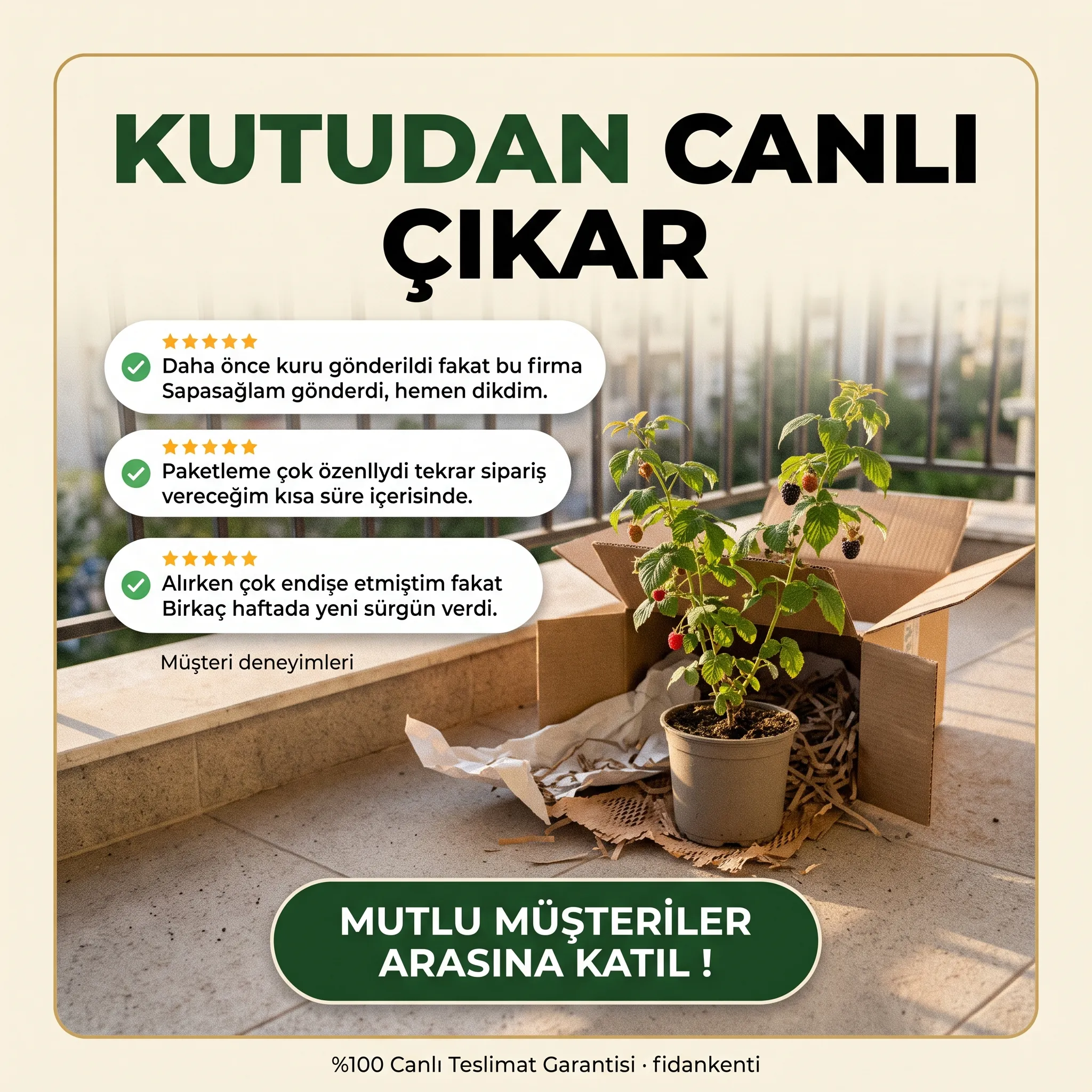 4'lü Meyve Bahçesi Başlangıç Seti - Görsel 5