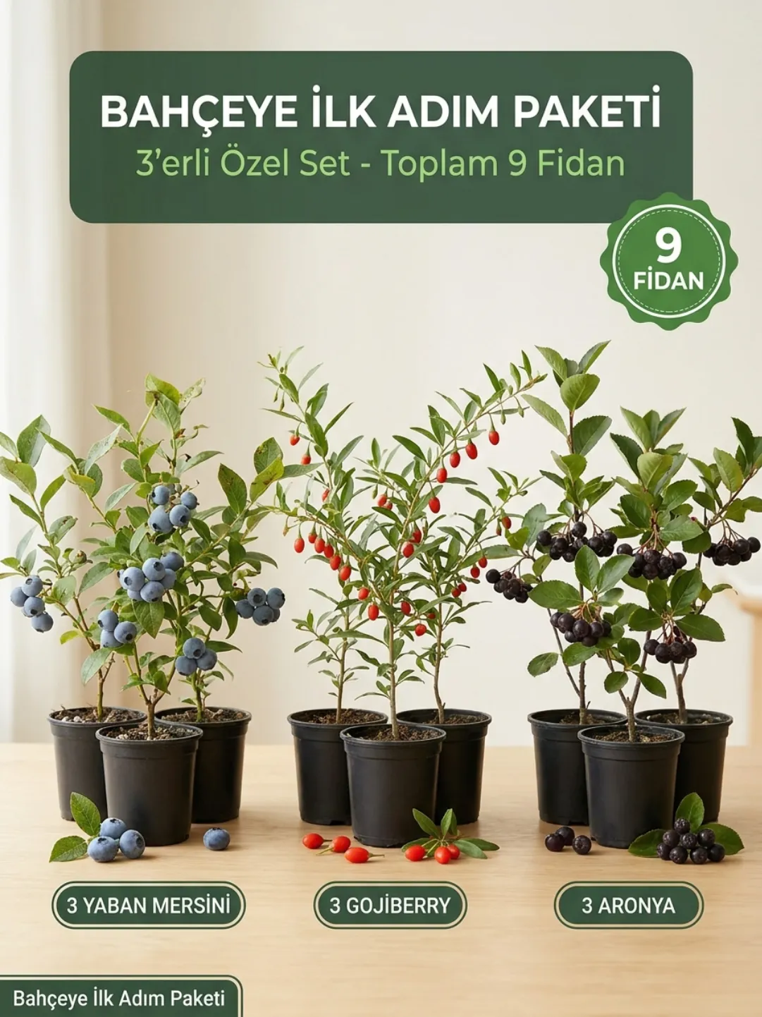 3'lü Bahçeye İlk Adım Paketi (9 adet fidan ) 