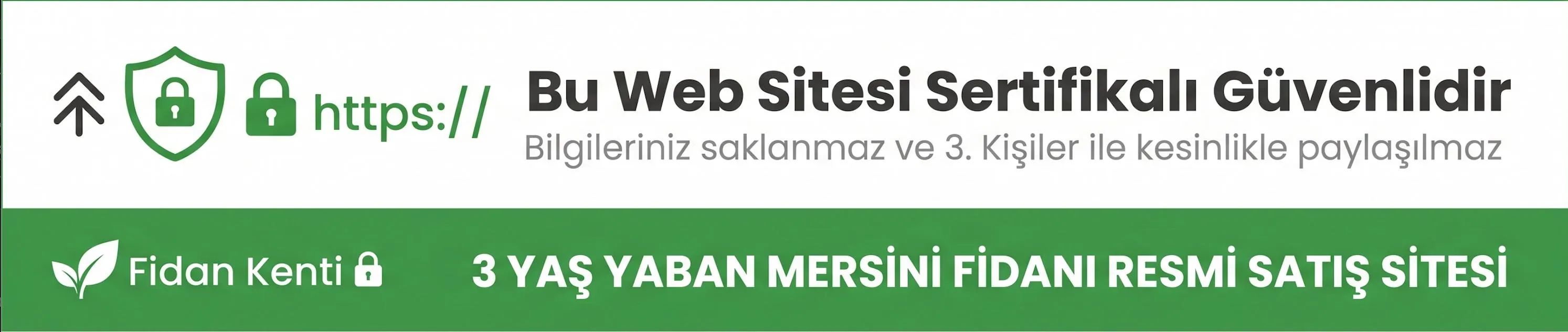 3 YAŞ YABAN MERSİNİ FİDANI - Görsel 1