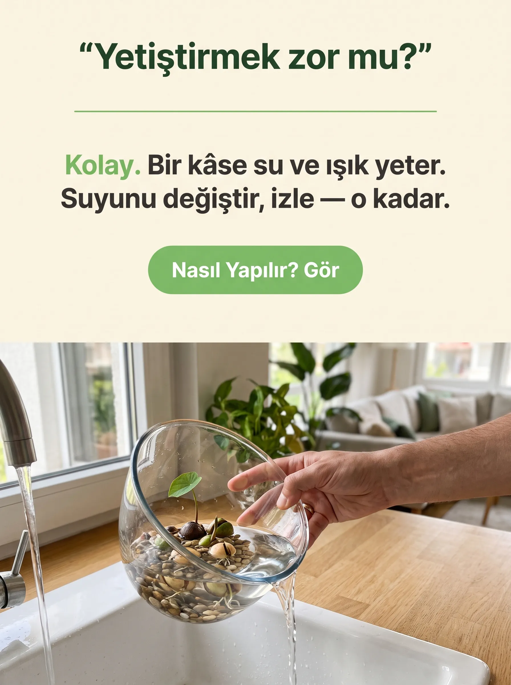 Lotus Çiçeği Yetiştirme Kiti - Görsel 4