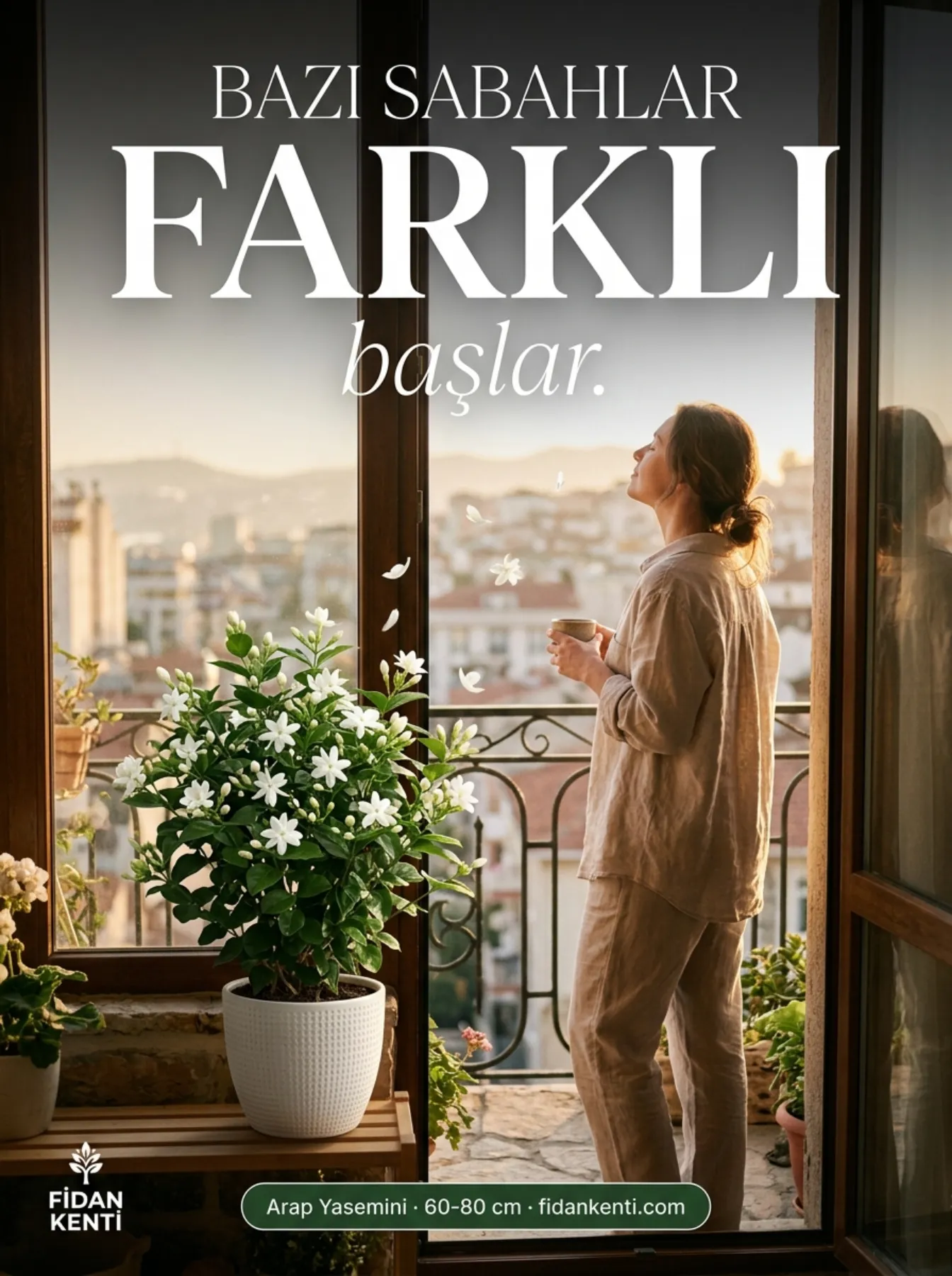 Arap Yasemini Fidanı  - Görsel 3