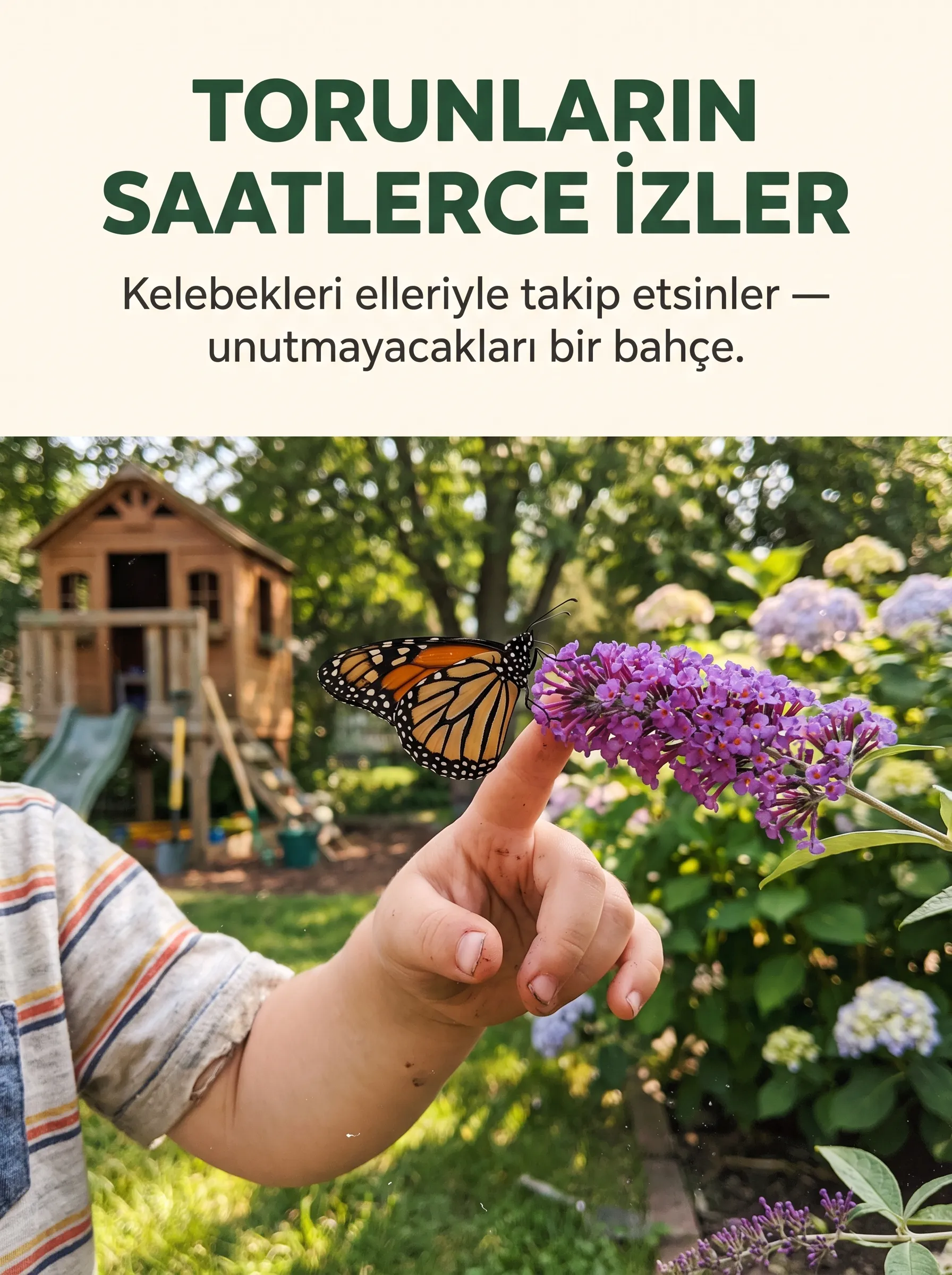KELEBEK ÇALISI ÇİÇEĞİ - Görsel 4