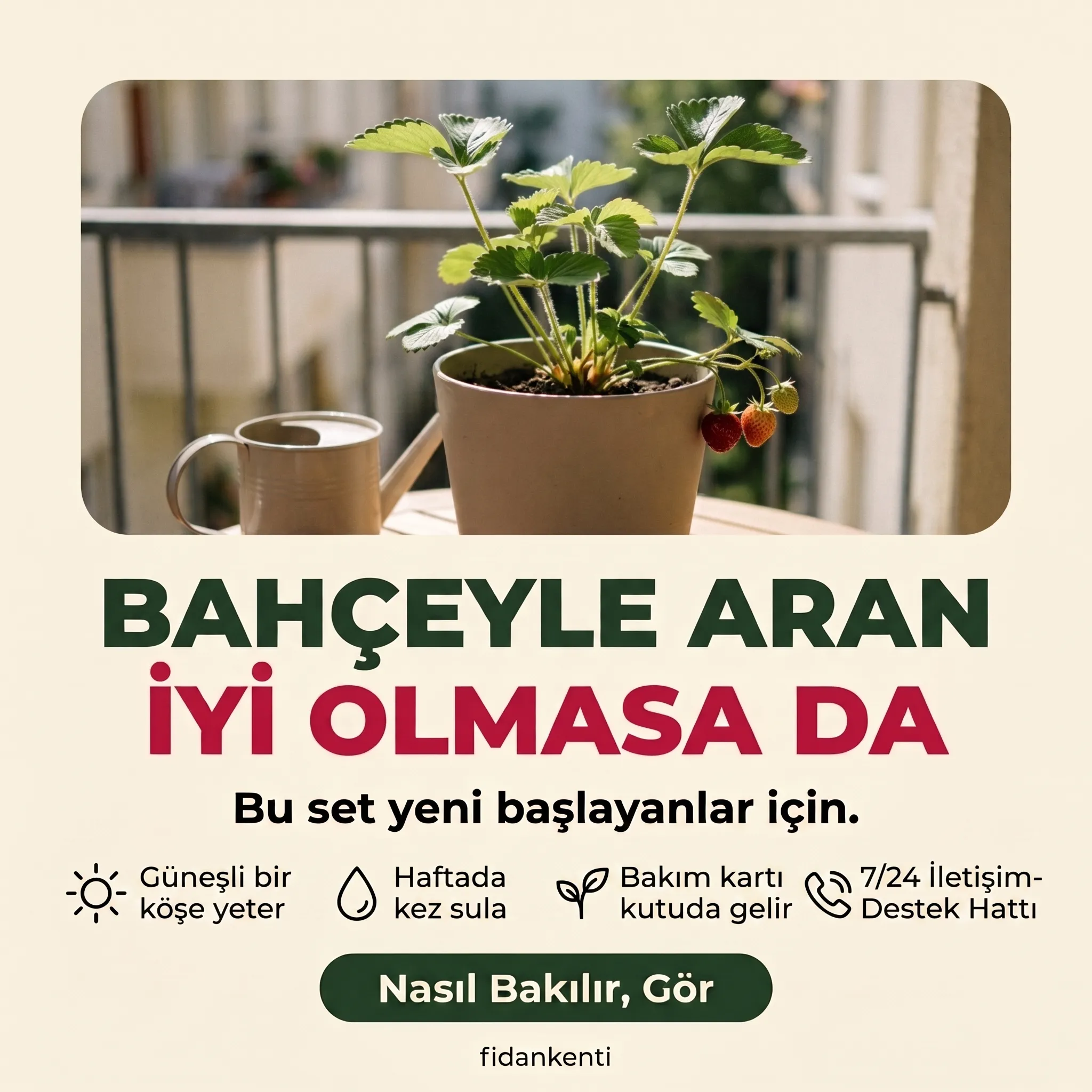 4'lü Meyve Bahçesi Başlangıç Seti - Görsel 6