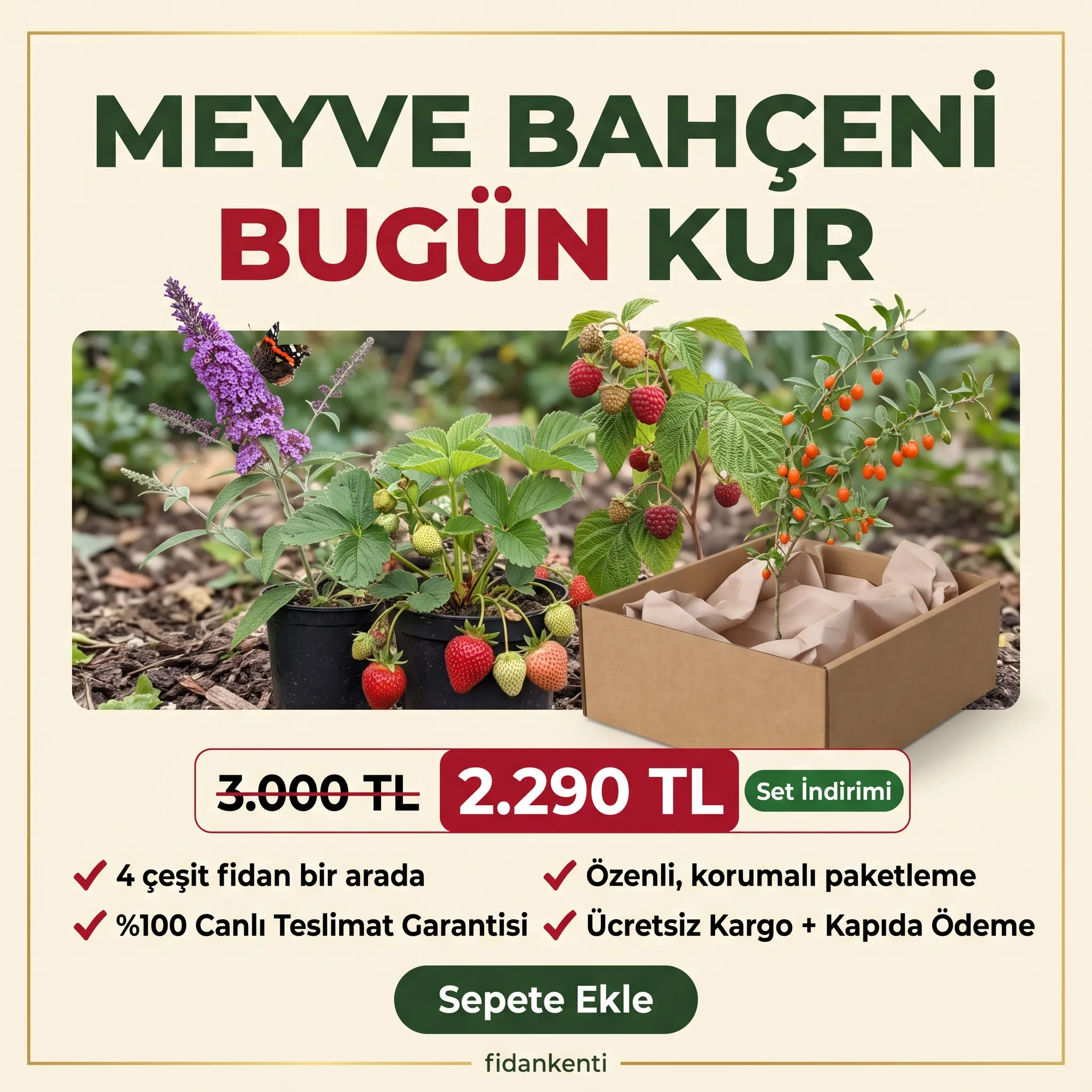 4'lü Meyve Bahçesi Başlangıç Seti - Görsel 3