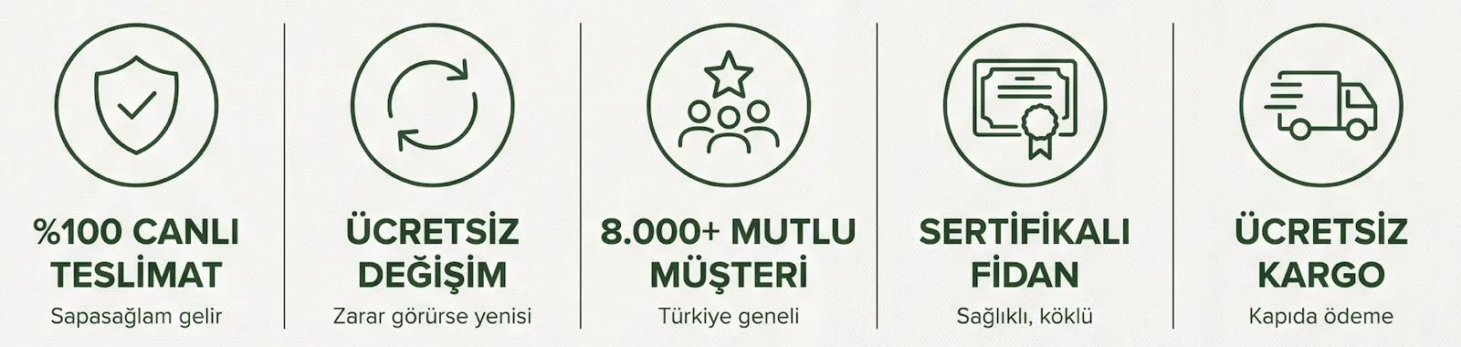 Meyveye Hazır 3 Yaş Yaban Mersini - Görsel 12