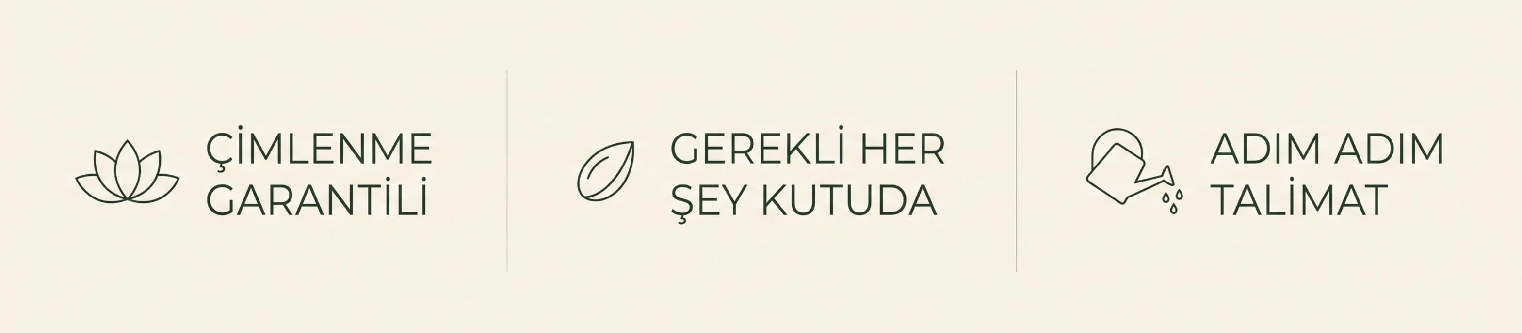 Lotus Yetiştirme Paketi - Görsel 6