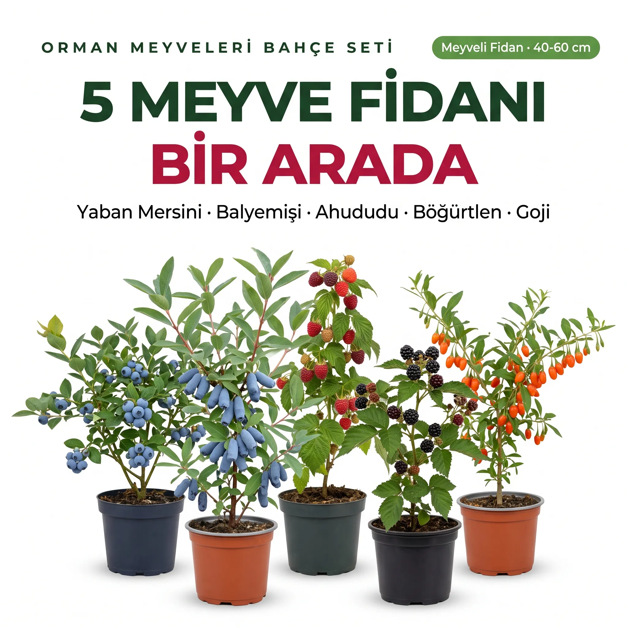 5'Lİ ORMAN MEYVE PAKETİ  - Görsel 1