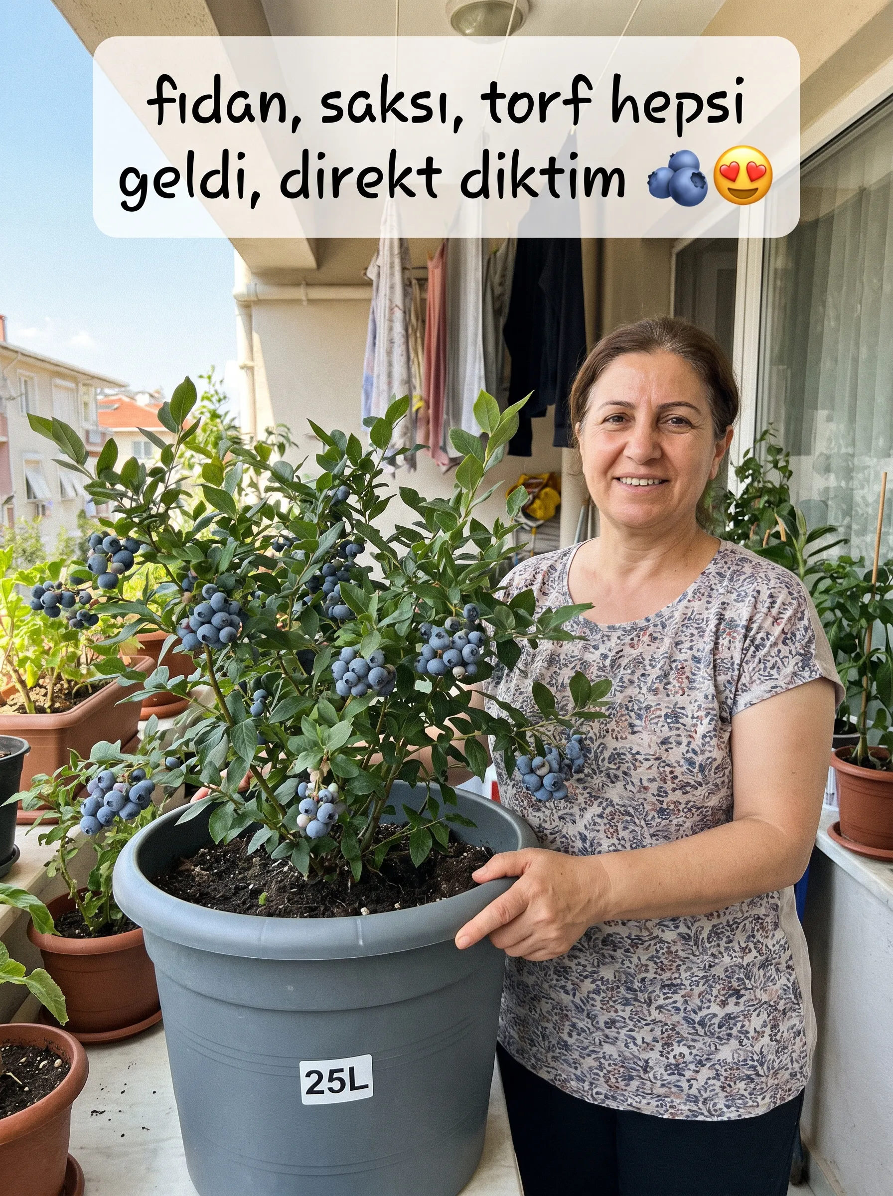 YABAN MERSİNİ YETİŞTİRME SETİ  - Görsel 6