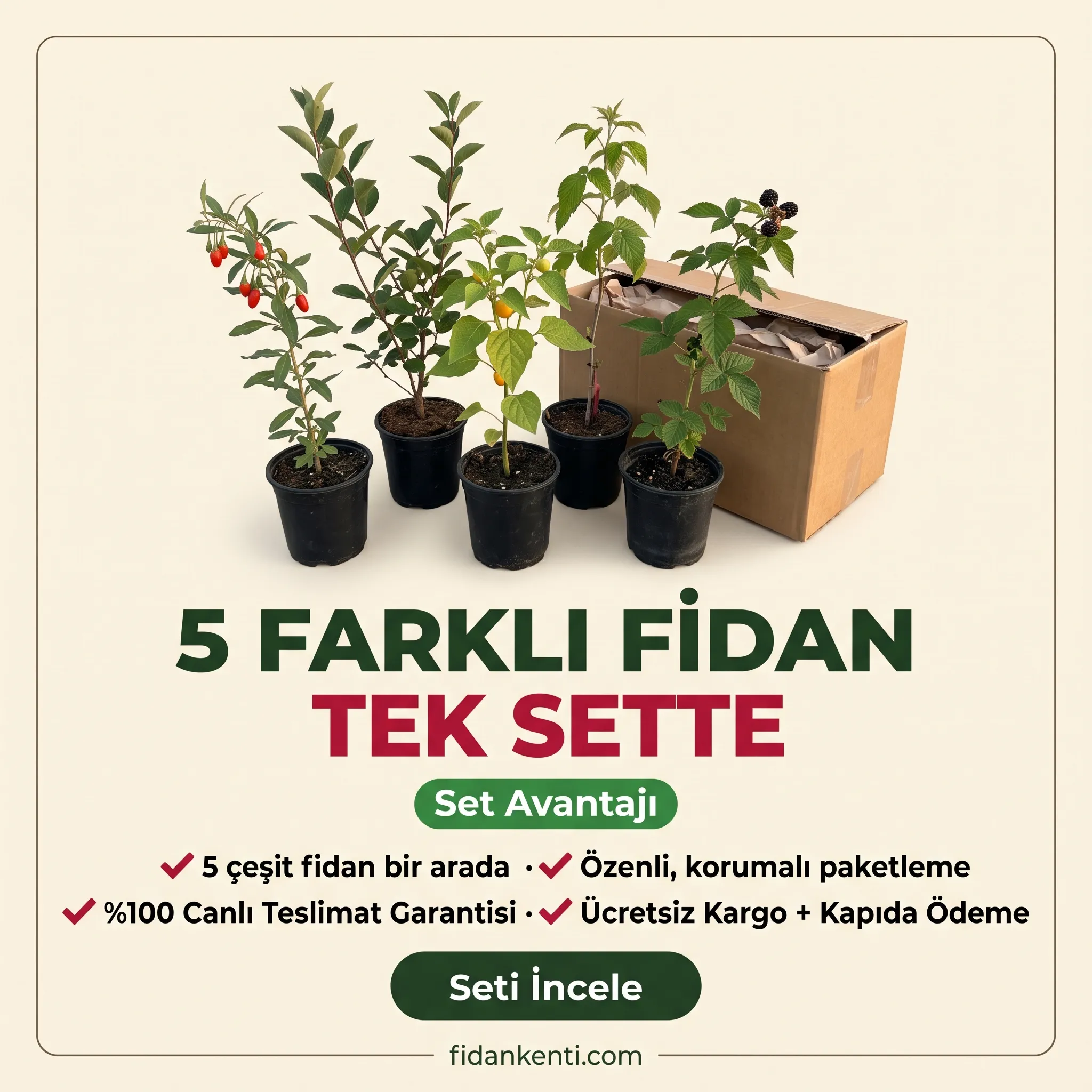 5'Li Süper Meyve Seti  - Görsel 3