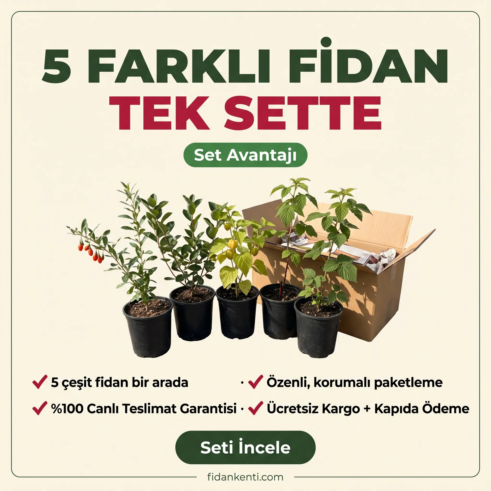 5'Li Süper Meyve Seti  - Görsel 4
