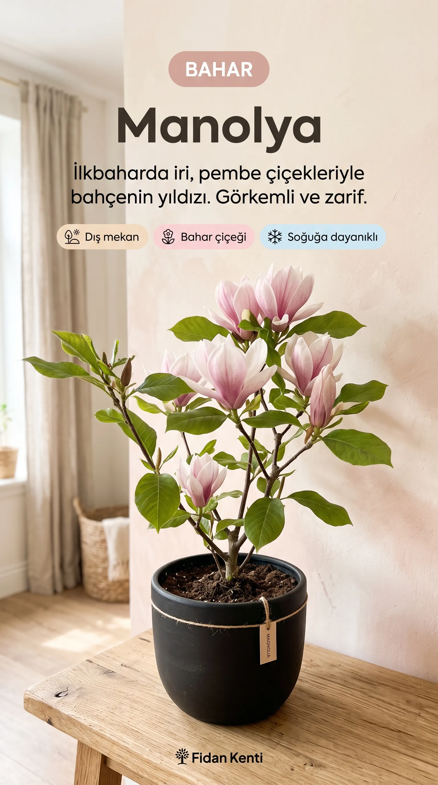 5'li Çiçek Seti + Oya Hediye - Görsel 3