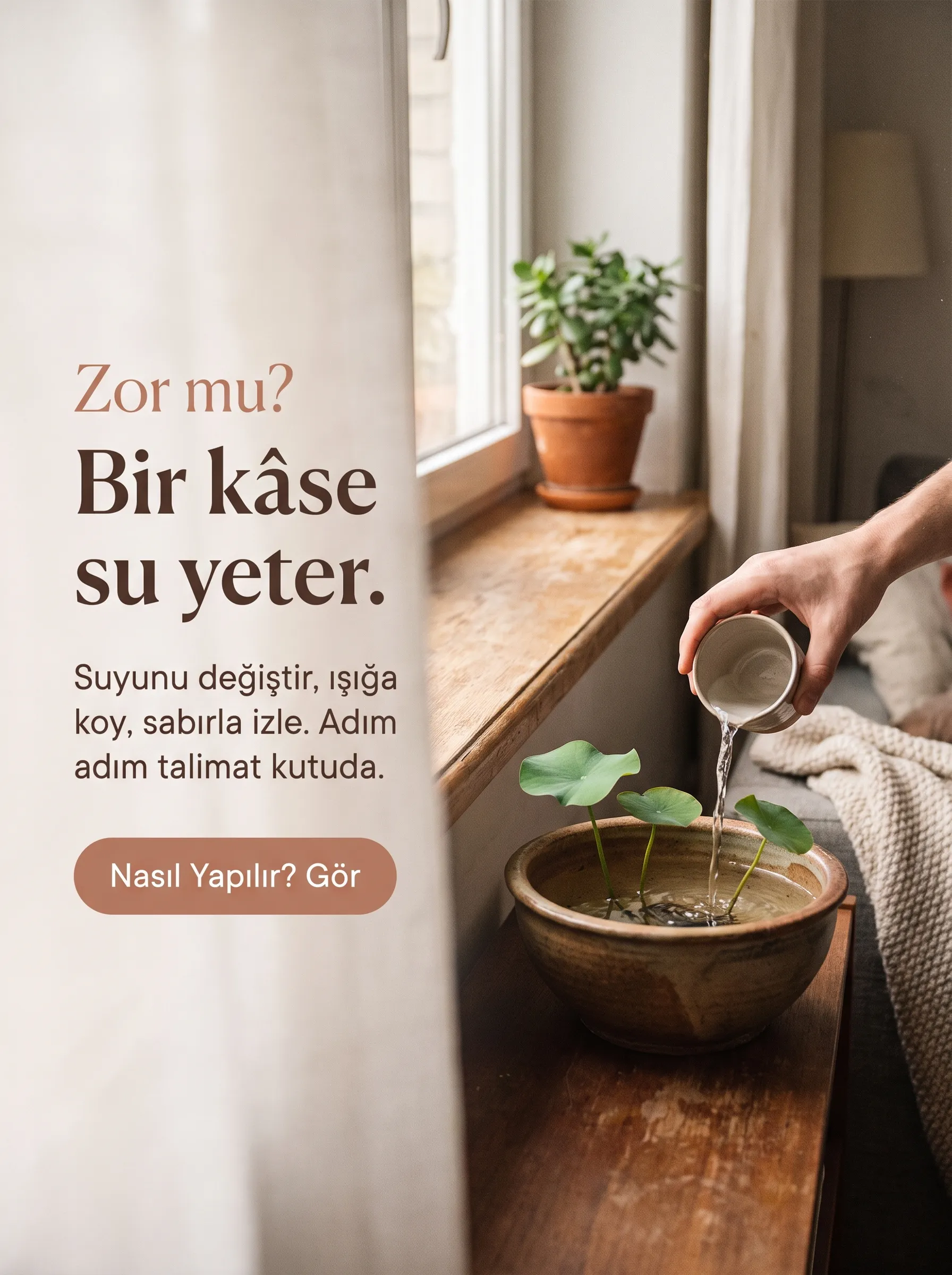 LOTUS ÇİÇEĞİ TOHUMU SETİ  - Görsel 3
