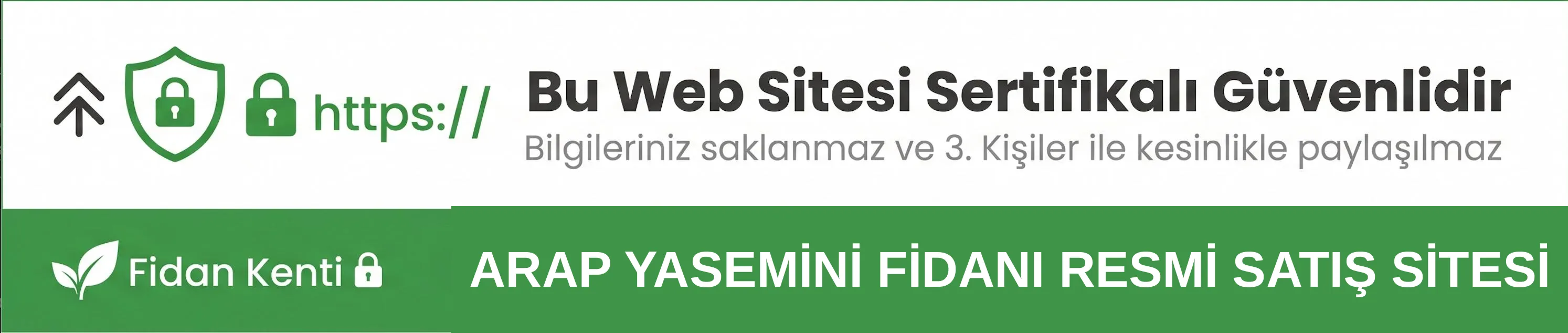 Arap Yasemini Fidanı  - Görsel 1
