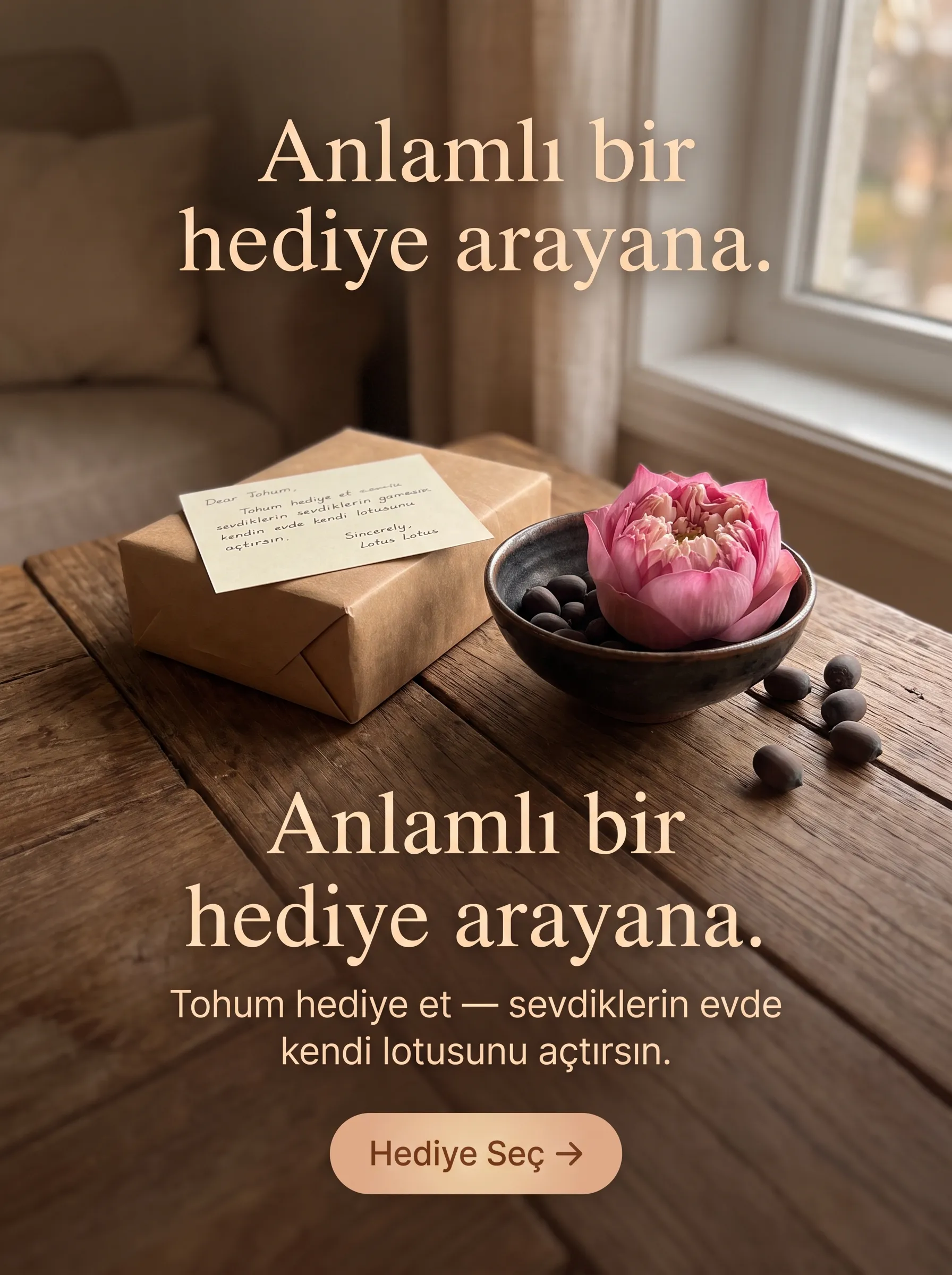 LOTUS ÇİÇEĞİ TOHUMU SETİ  - Görsel 6