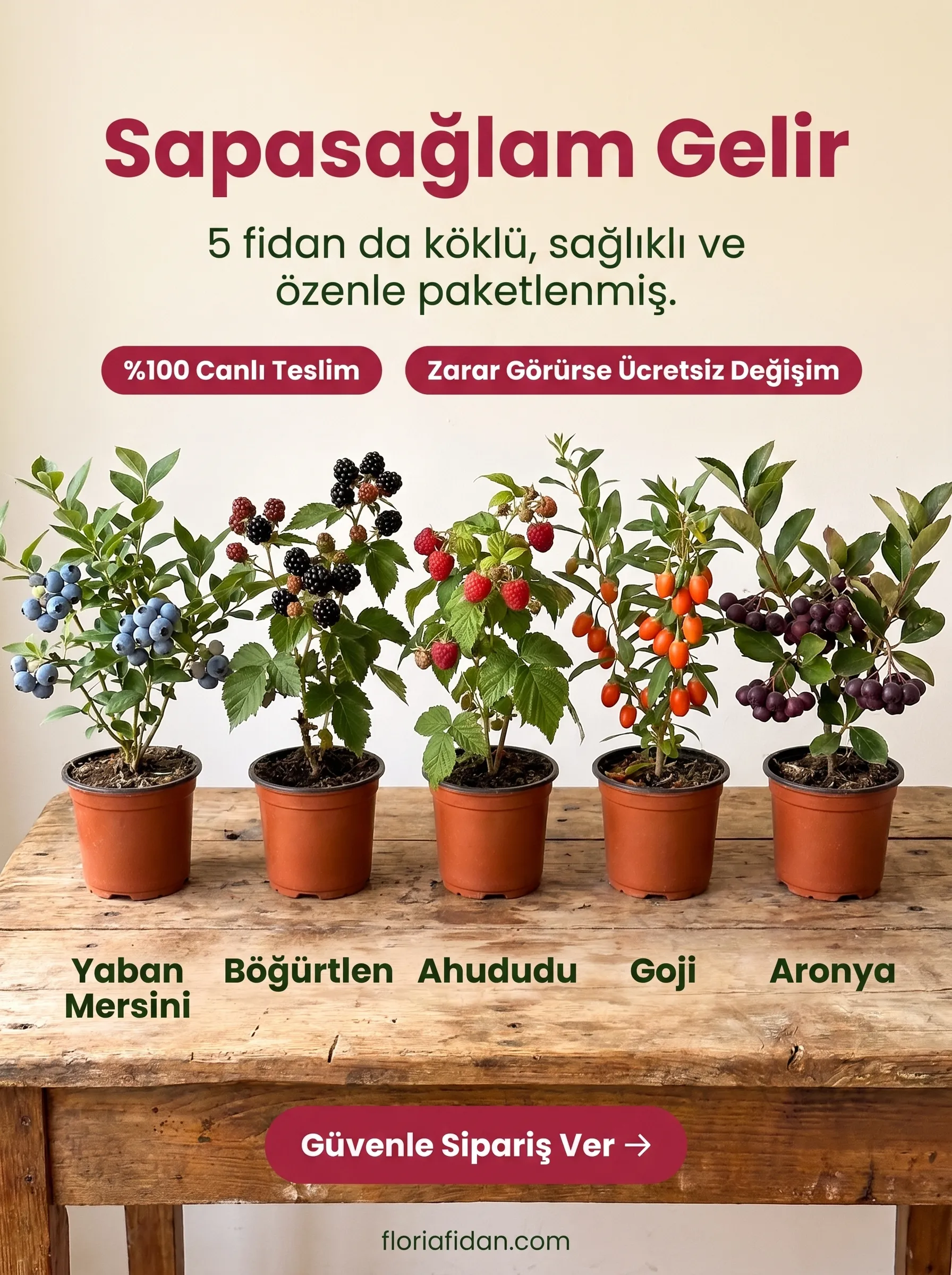 5 Farklı Lezzet Seti - Görsel 7