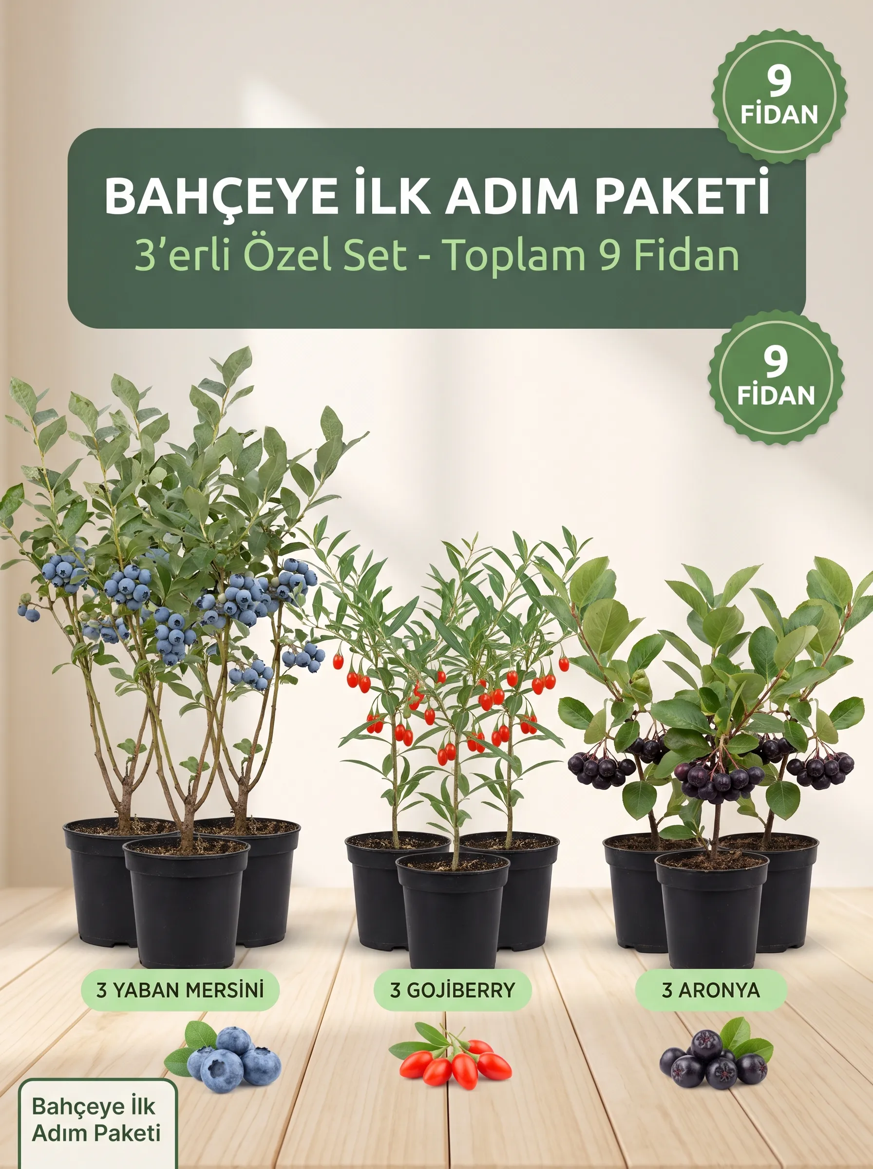 3'lü Bahçeye İlk Adım Paketi (9 adet fidan )  - Görsel 1