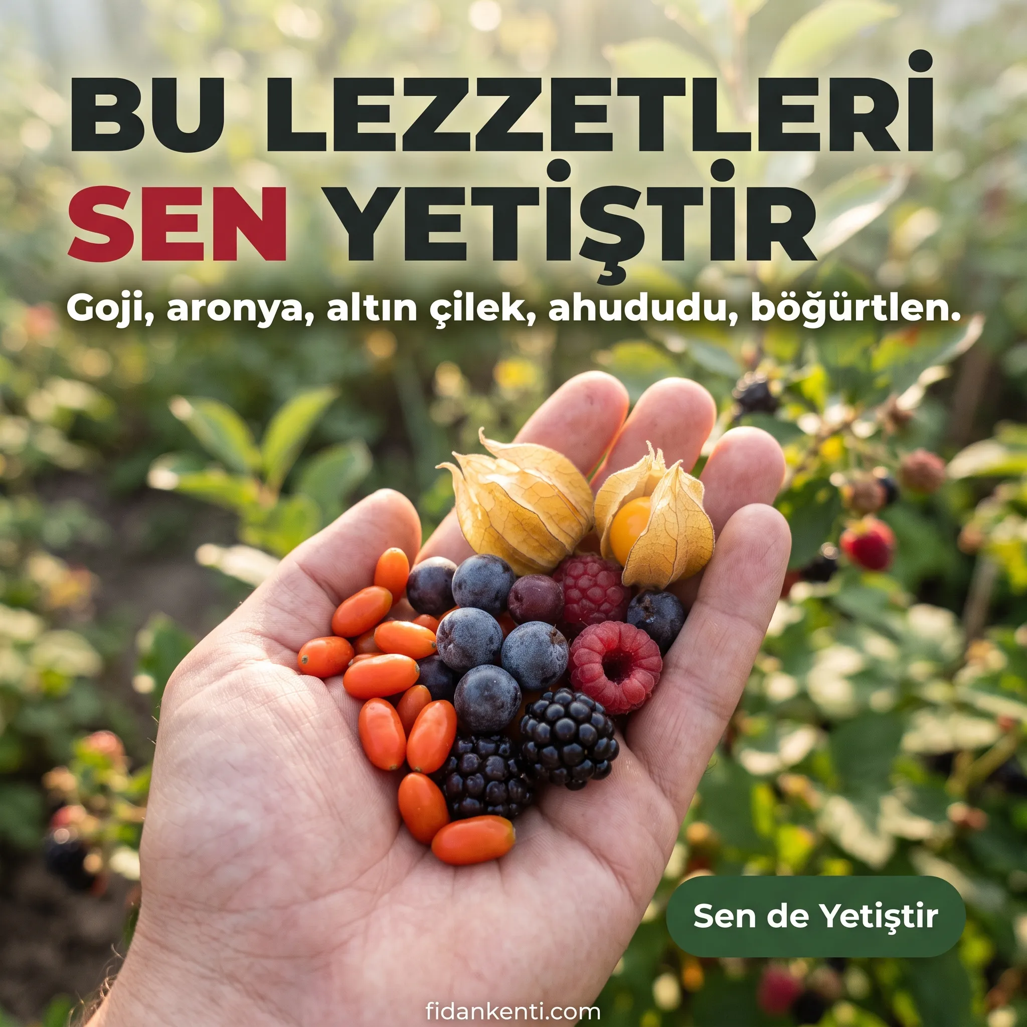 5'Li Süper Meyve Seti  - Görsel 5