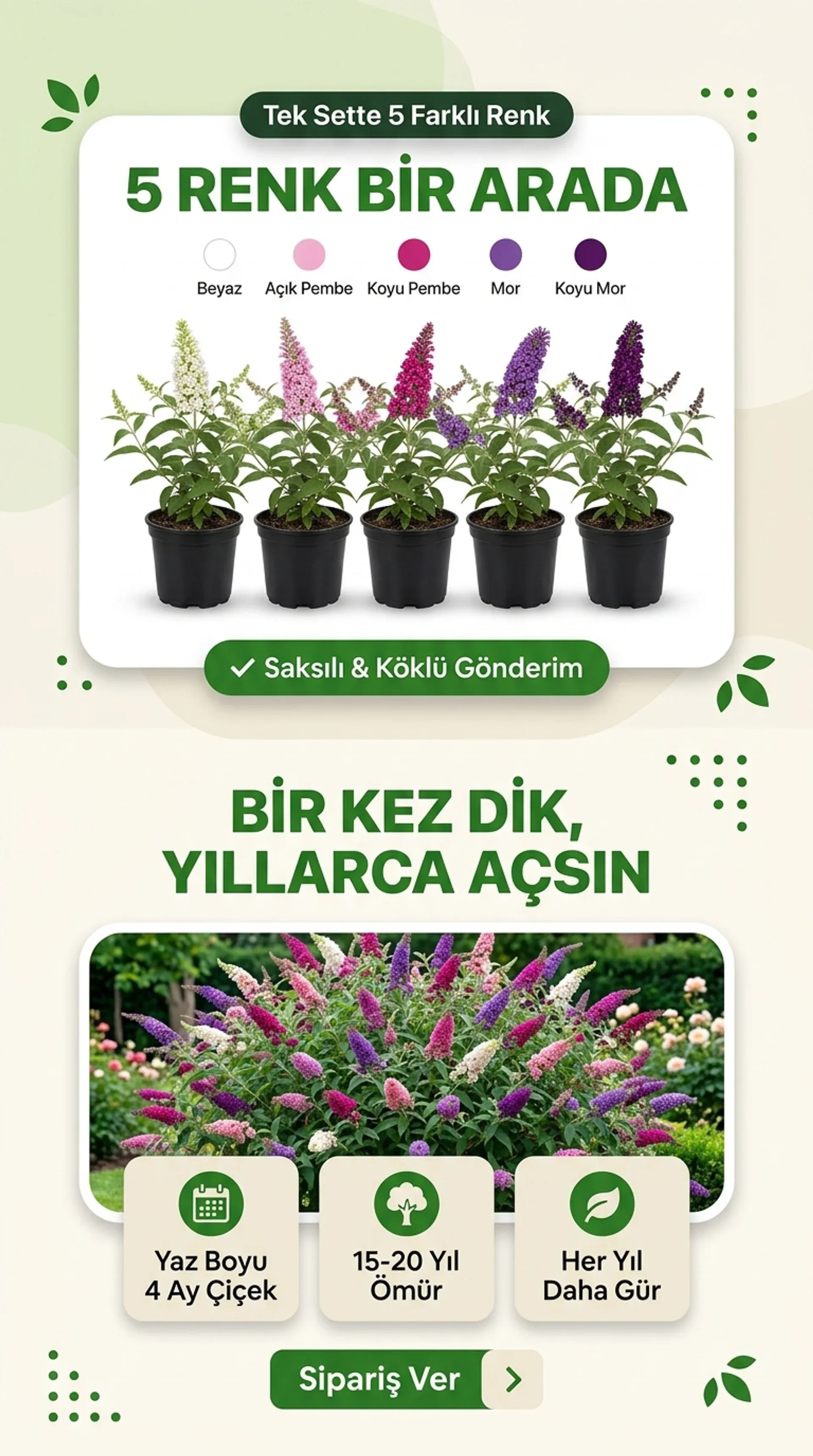 Kelebek Çalısı Seti - Görsel 5