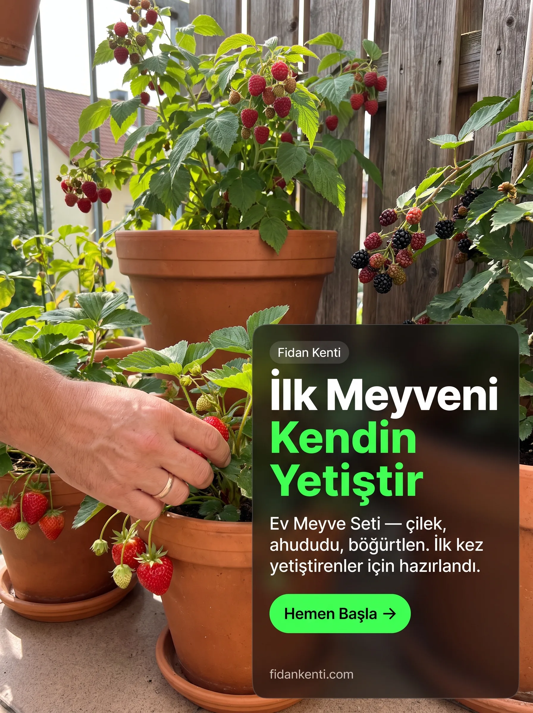 EV MEYVE SETİ  - Görsel 1