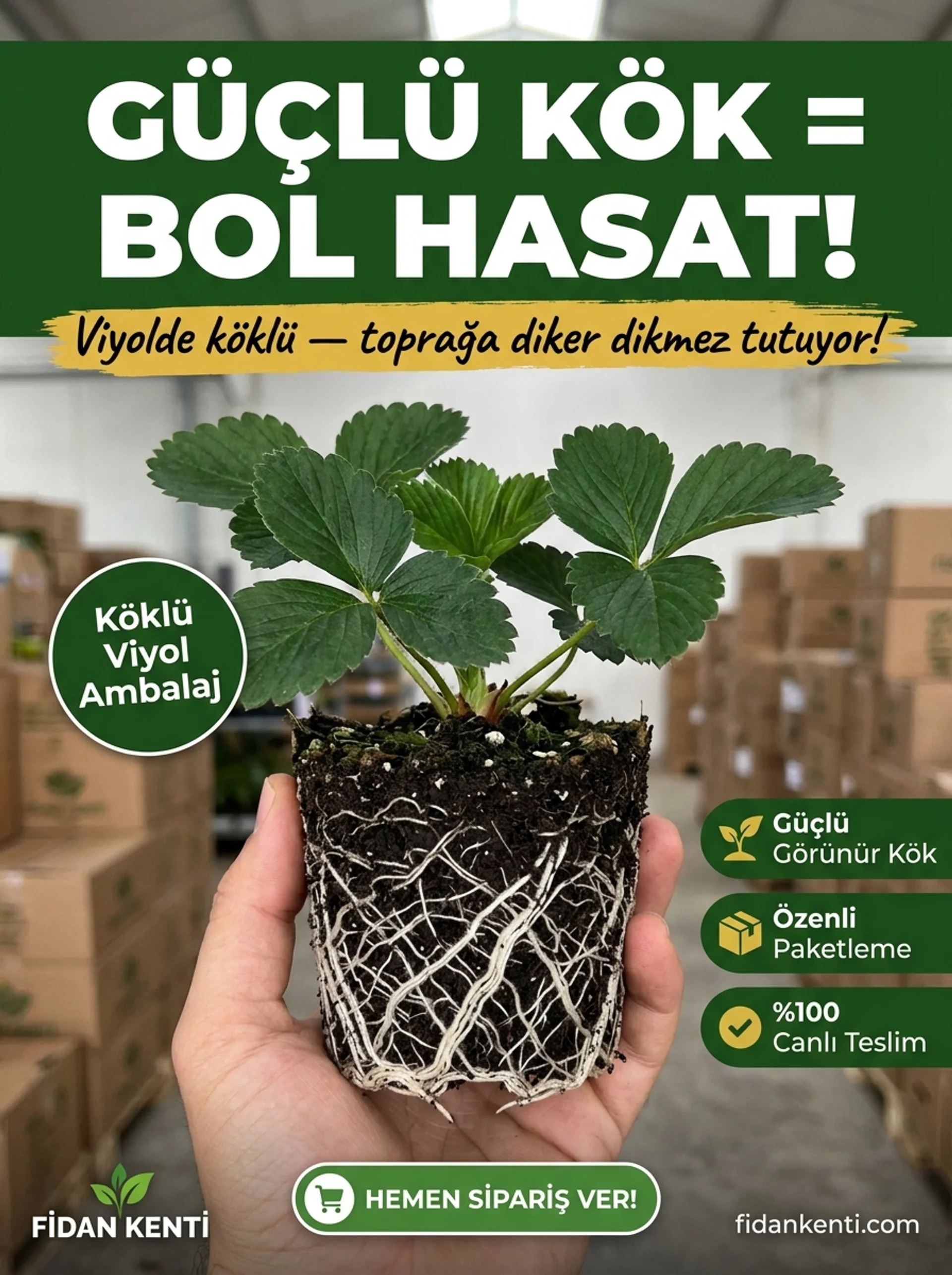 Albion Yediveren Çilek Kampanyası - Görsel 5