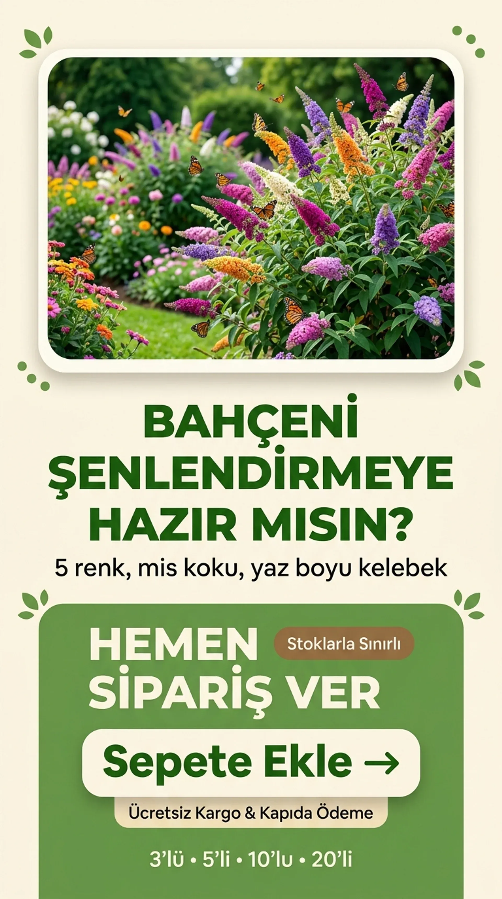 Kelebek Çalısı Seti - Görsel 6