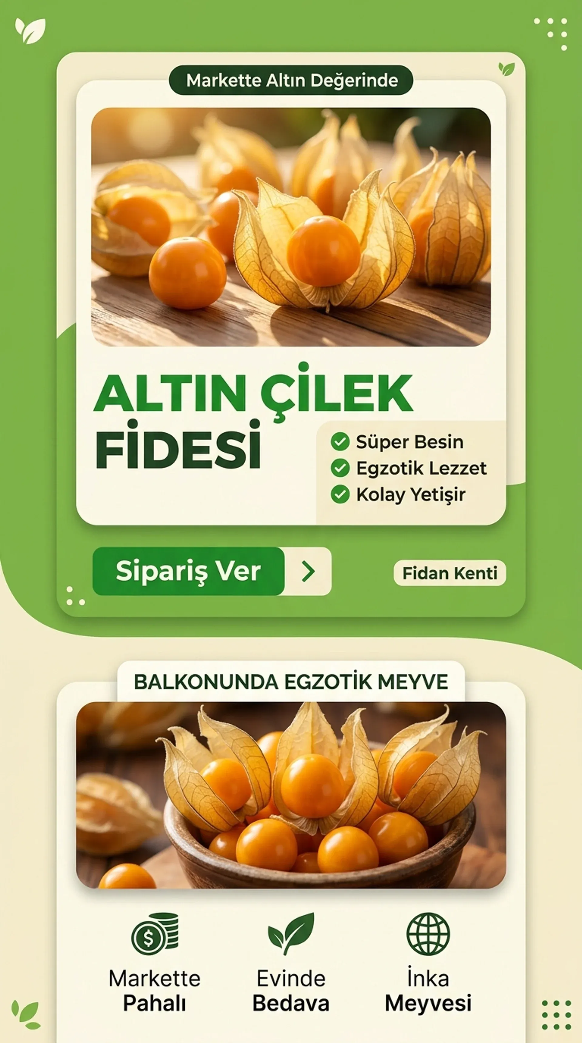 Altın Çilek Kampanyası - Görsel 5