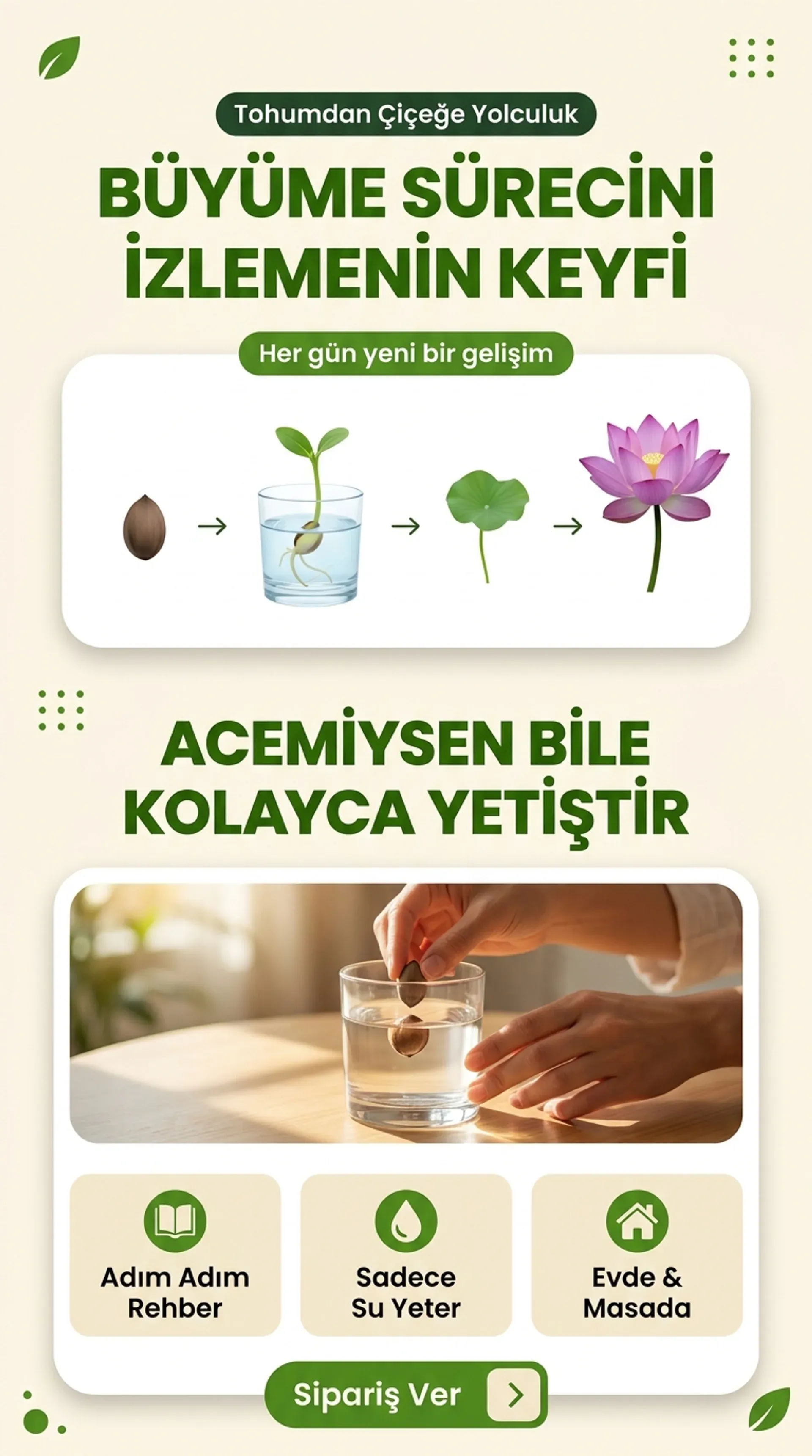 Lotus Yetiştirme Kiti - Görsel 4