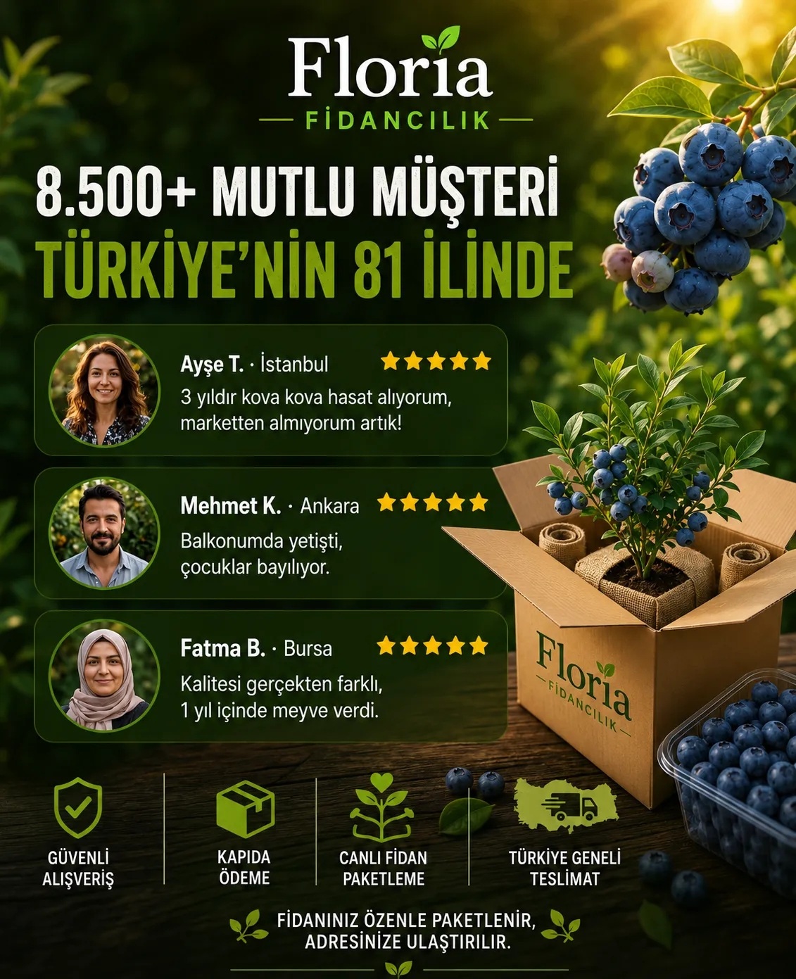 Yaban mersini Kampanyası  - Görsel 9