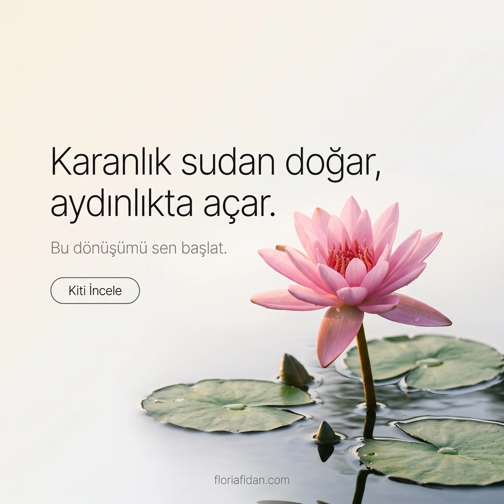Lotus Yetiştirme Paketi - Görsel 8