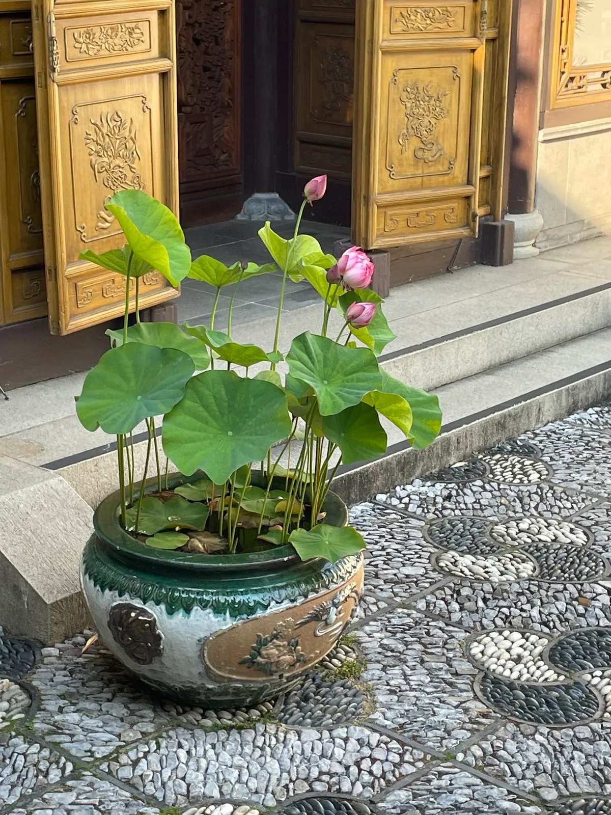 Ürün fotoğrafı