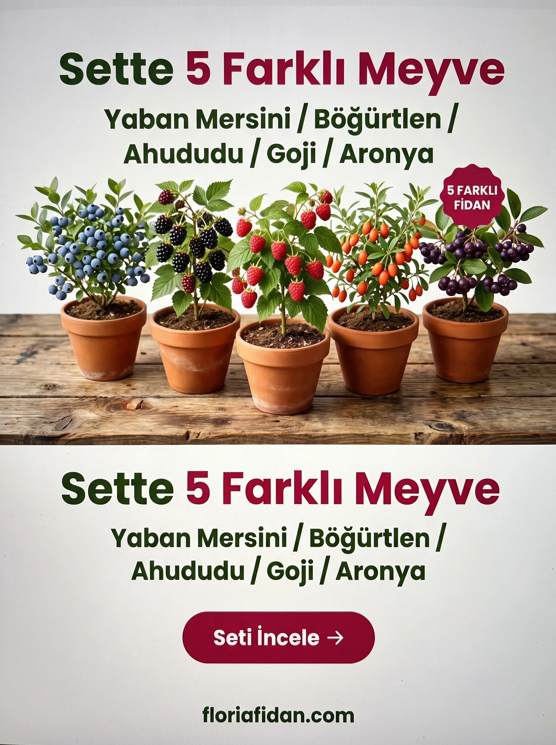 5 Farklı Lezzet Seti - Görsel 3