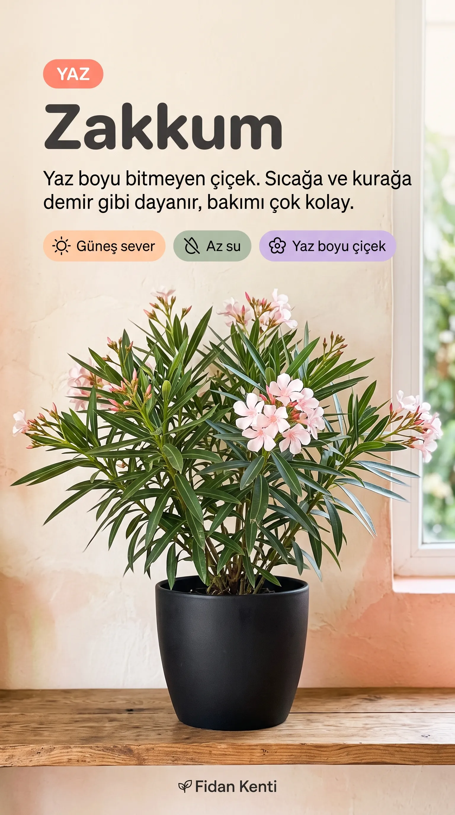 5'li Çiçek Seti + Oya Hediye - Görsel 2
