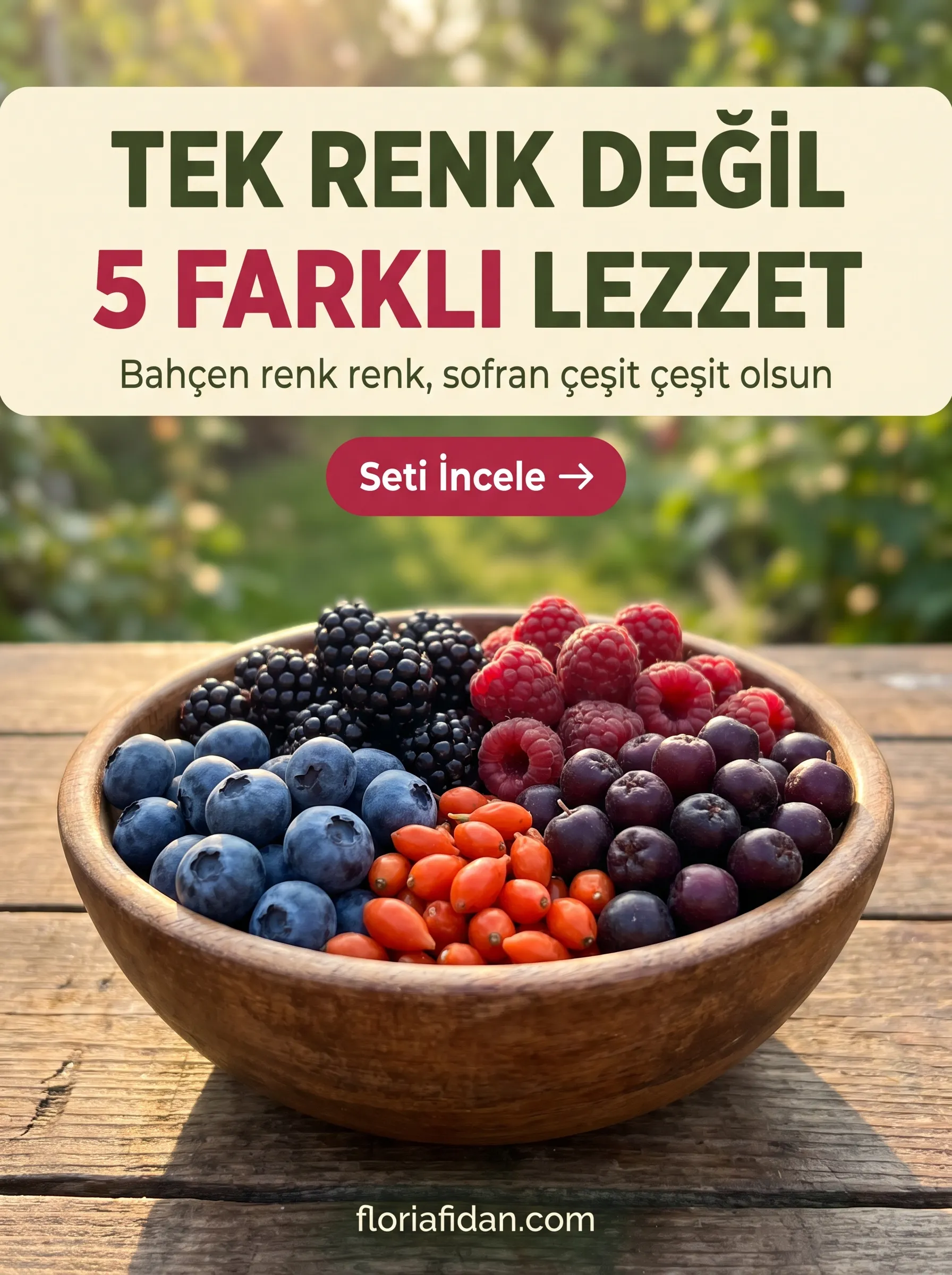 5 Farklı Lezzet Seti - Görsel 6