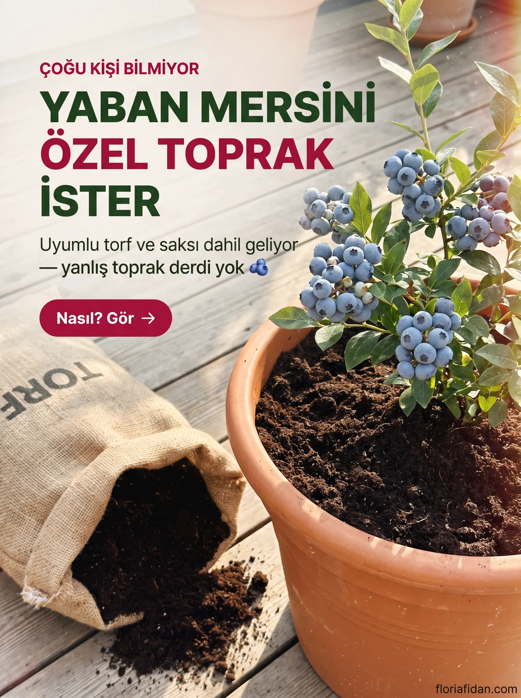 YABAN MERSİNİ YETİŞTİRME SETİ  - Görsel 5