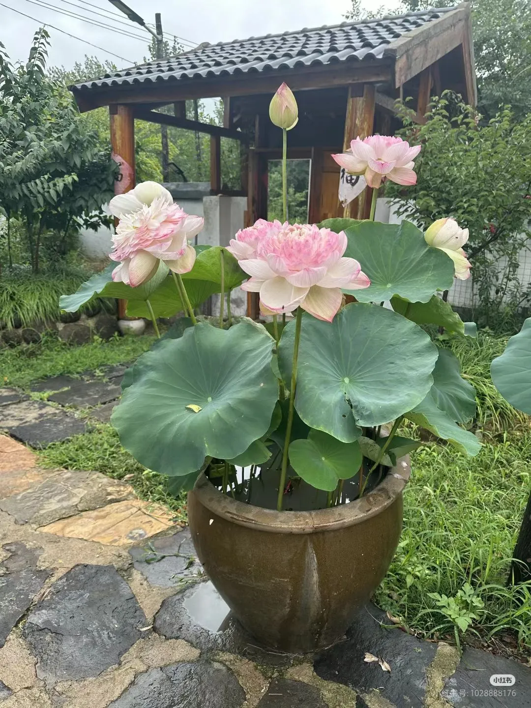 Ürün fotoğrafı